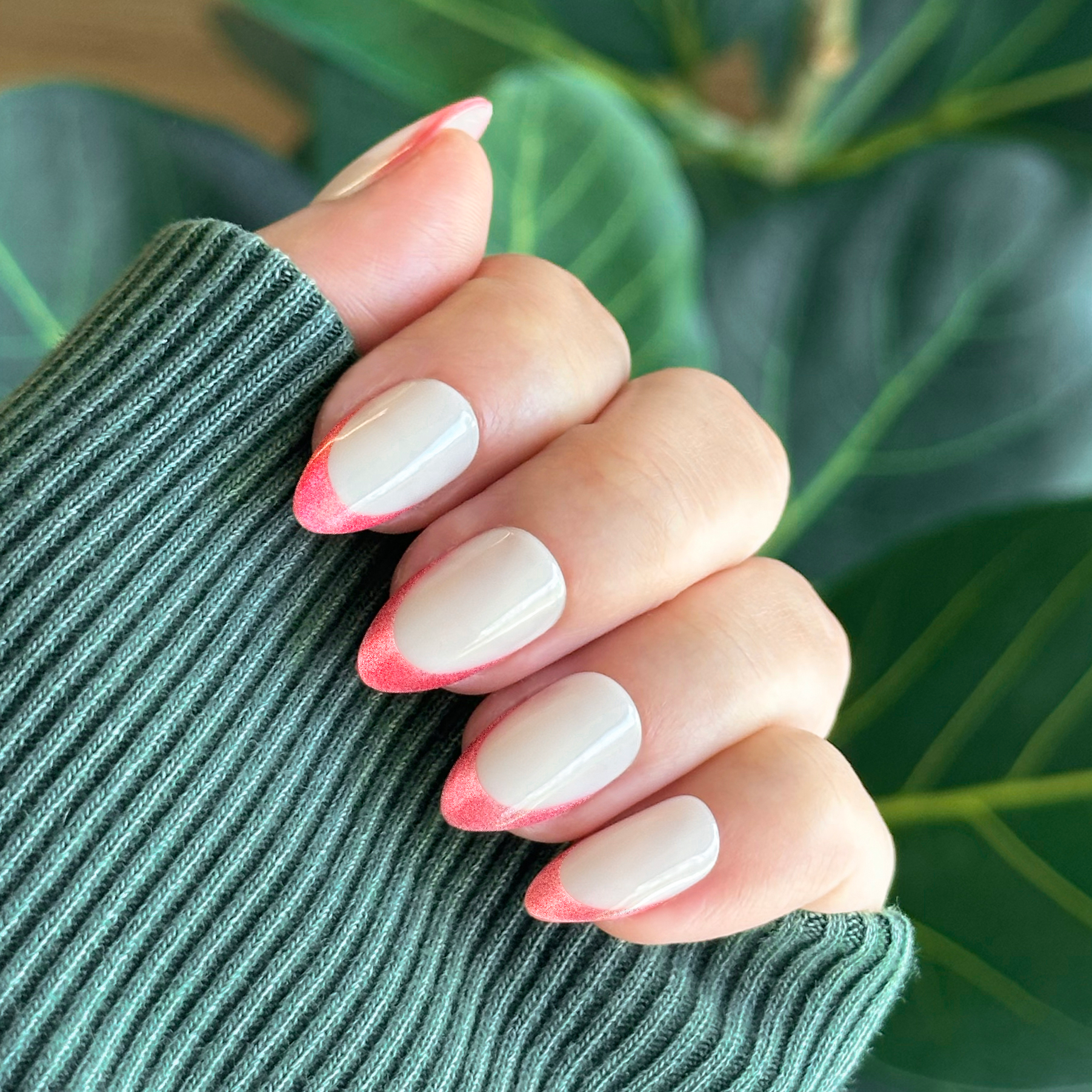 Hot Strawberry Velvet French - Press-On | Medium | Almond、mySite、solidvoid