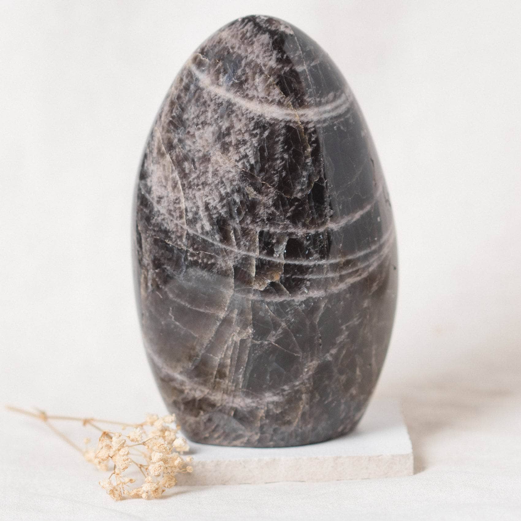 Black Moonstone Freeform - AAA Premium Quality、mySite、hinf8tx79