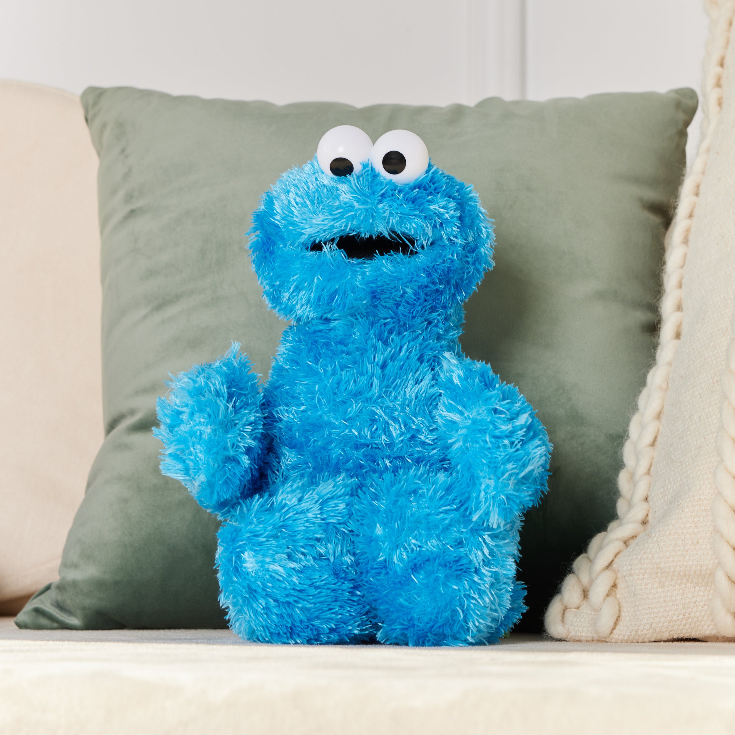 Sesame Street: Cookie Monster, 12 in、mySite、pszhyizbm