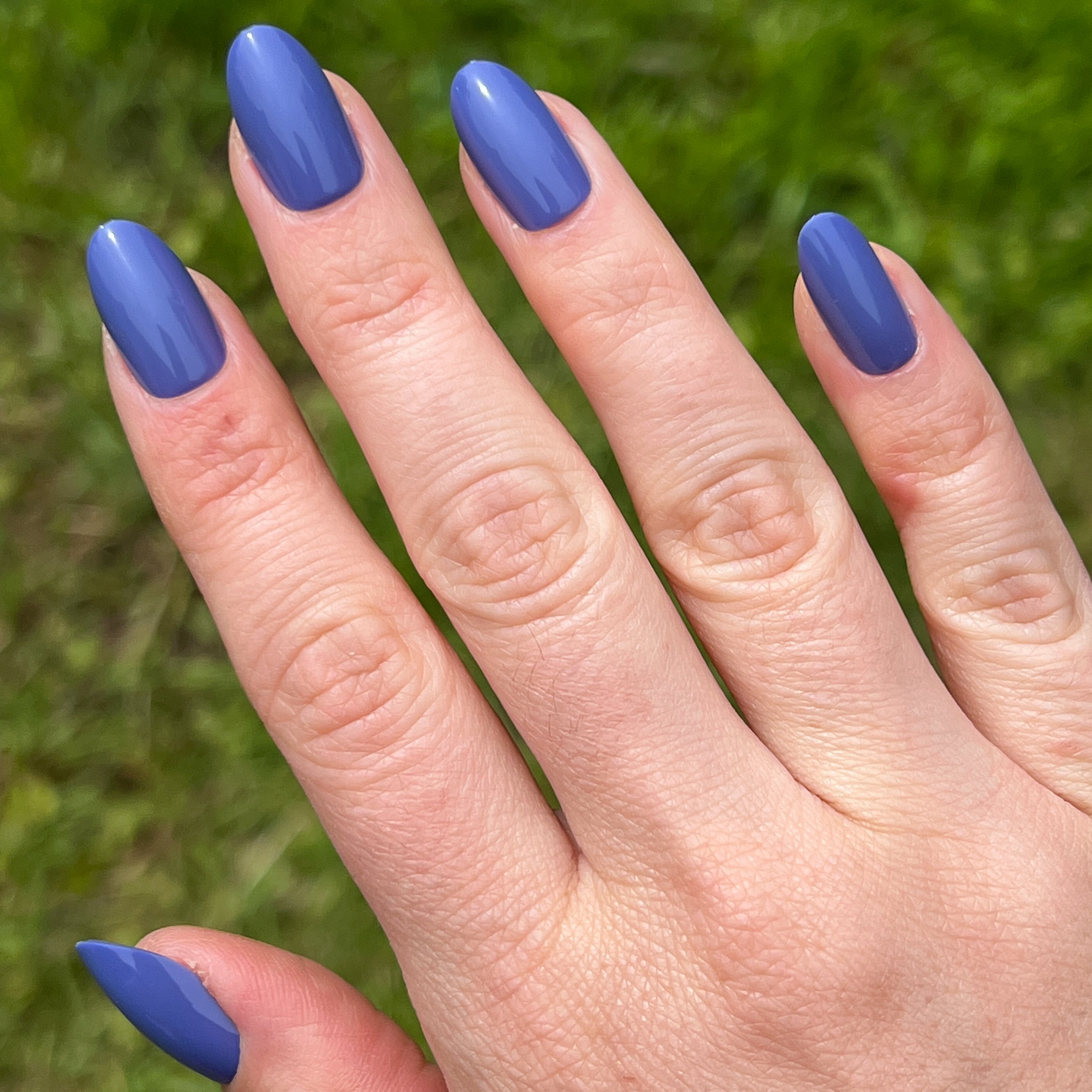 CNH | Oval | Medium、mySite、solidvoid