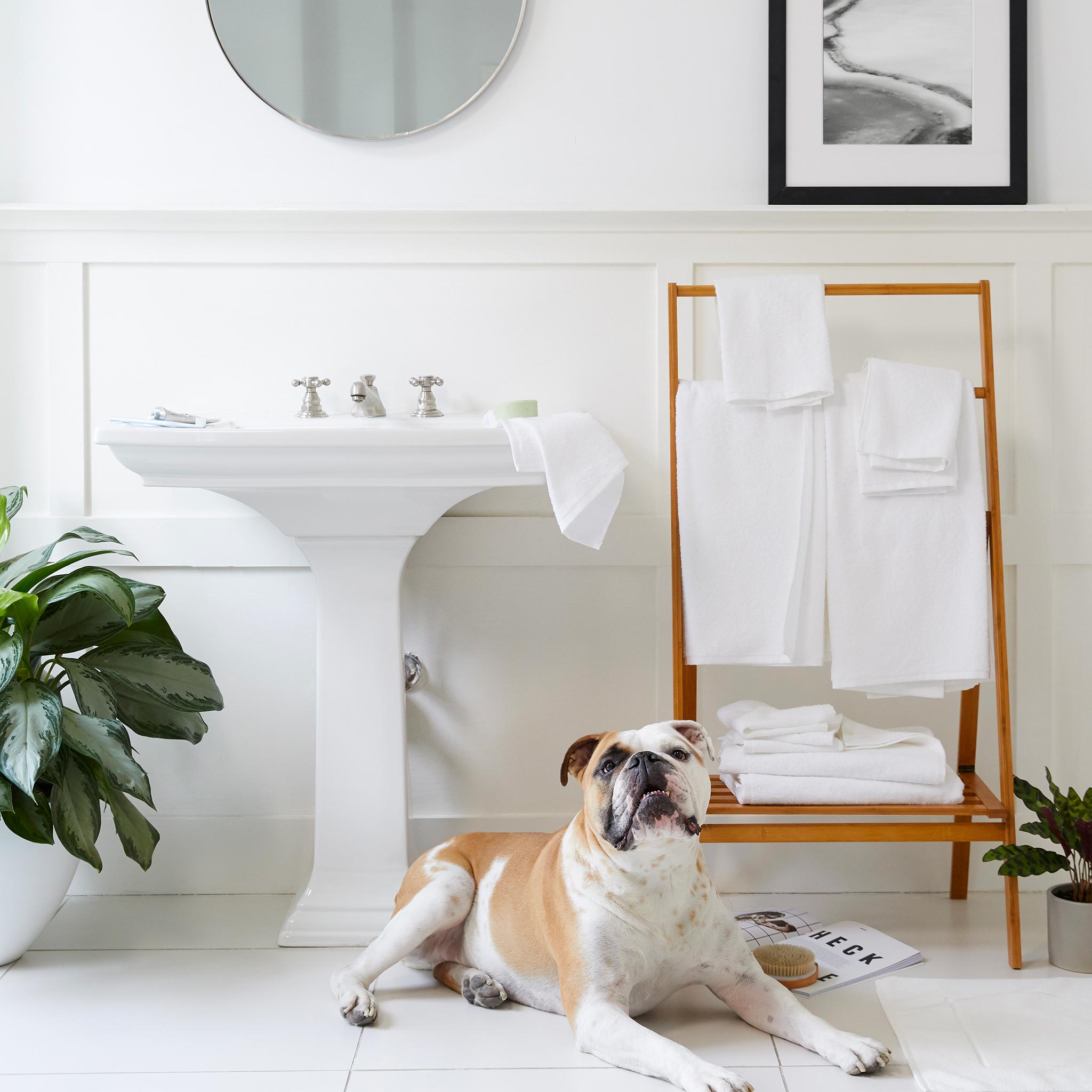  Ultralight Washcloths - Last Call、mySite、sugarbowlscore