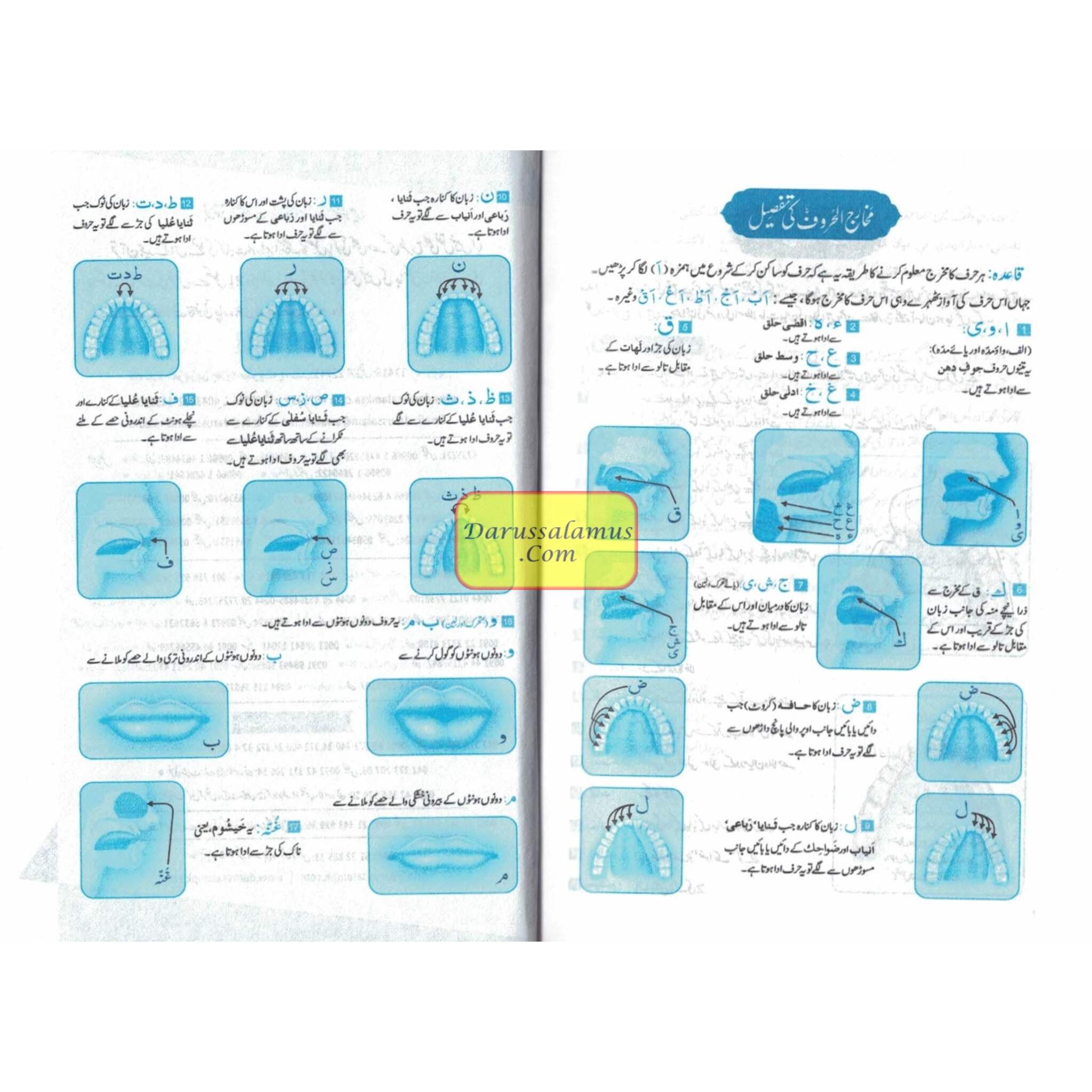 The Quran Arabic Only , 16 Lines Pakistani / Indian/ Persian Script Pocket Size 4.8 x 3.5 Inch For Huffaz (Ref 2)、mySite、topwebapps