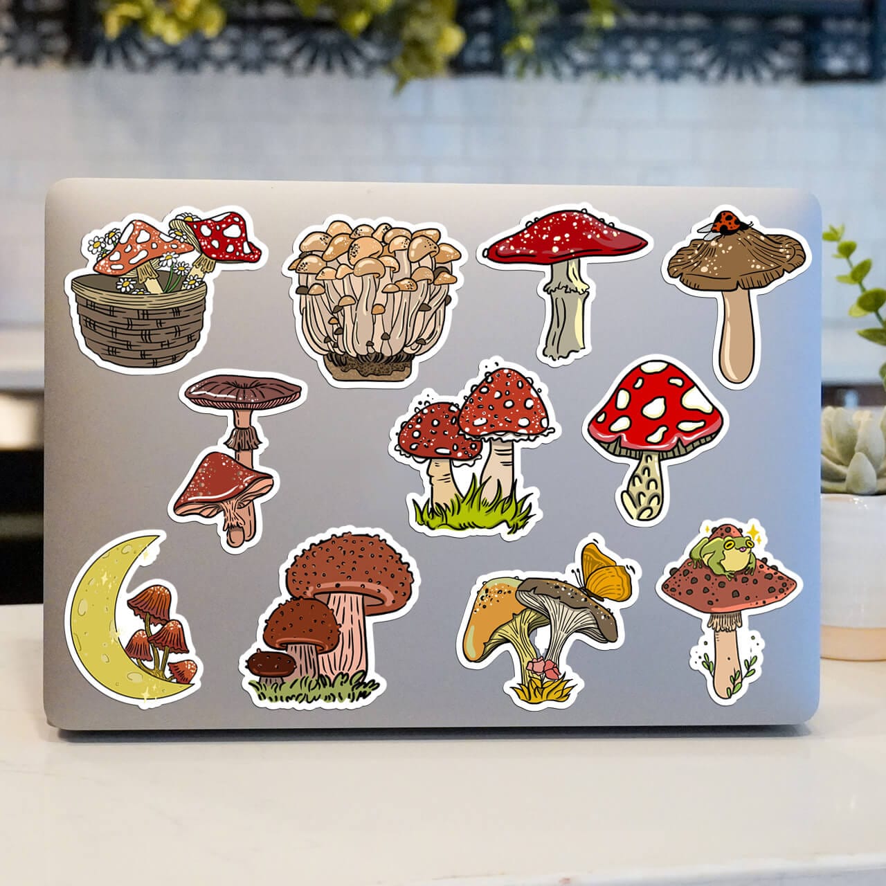  Mushroom Sticker 11 Pack、mySite、ghnorth