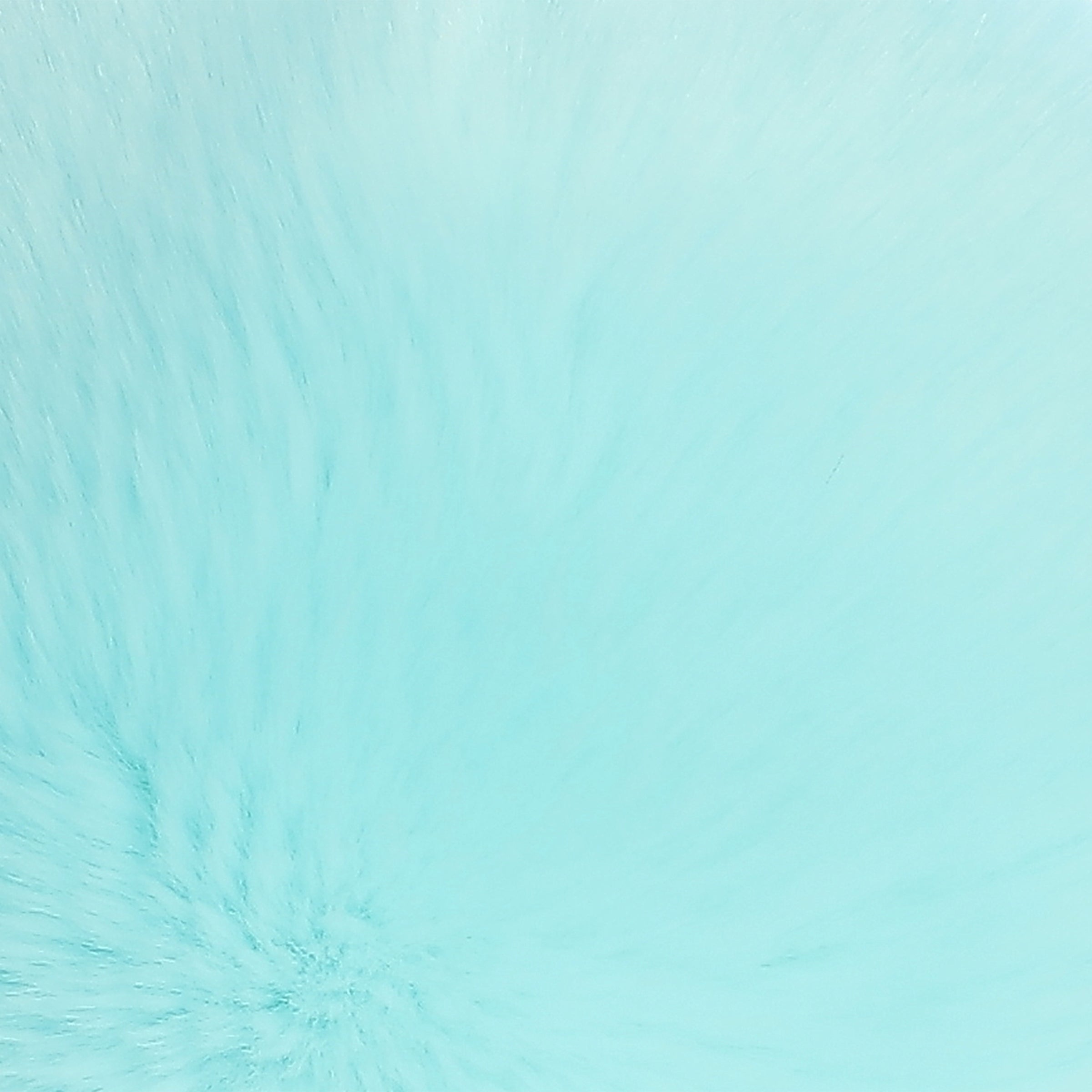 Aurora® - 9 Fungi Friends™、mySite、g9winljtr