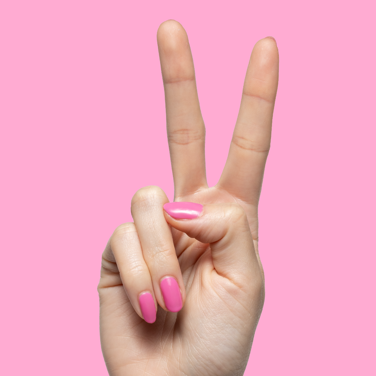 Your Favorite Suit、mySite、solidvoid