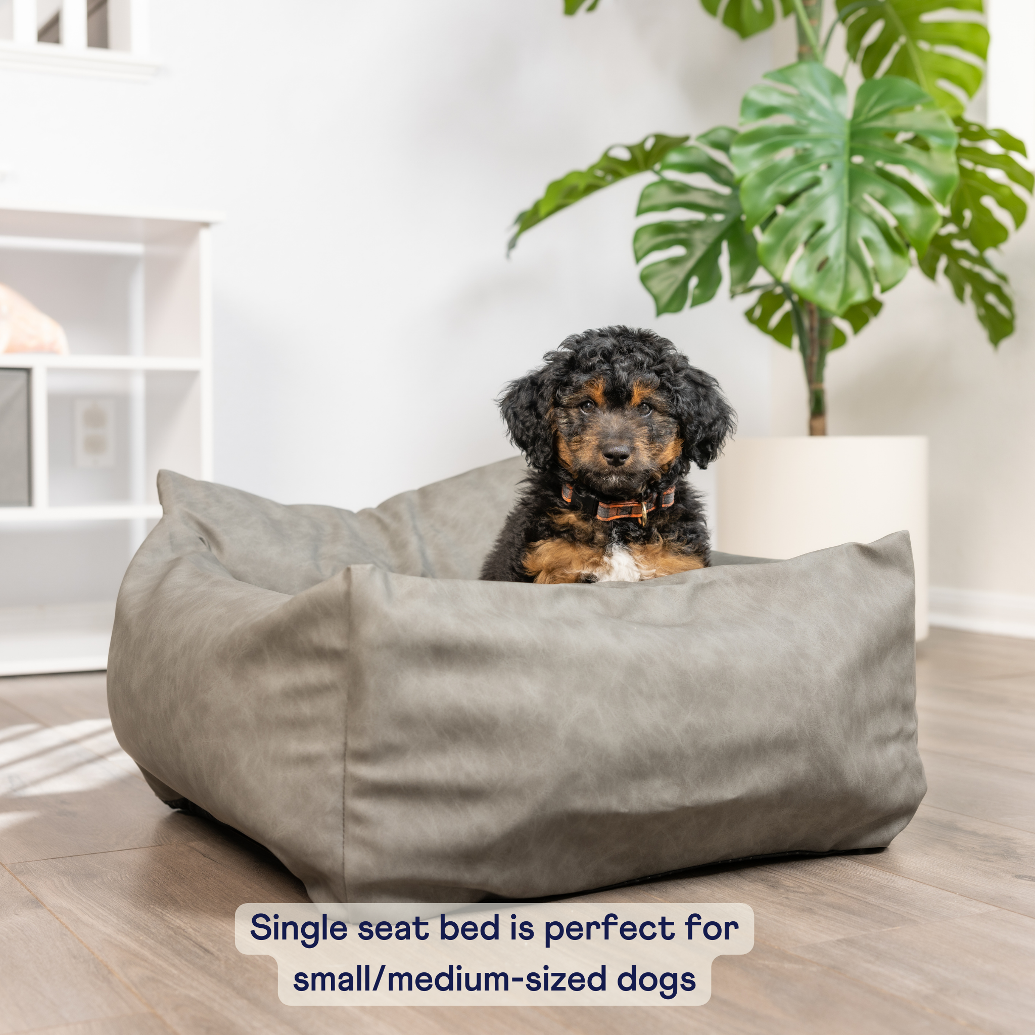 PupProtector™ Faux Leather Memory Foam Dog Car Bed - Slate Gray、mySite、solidvoid
