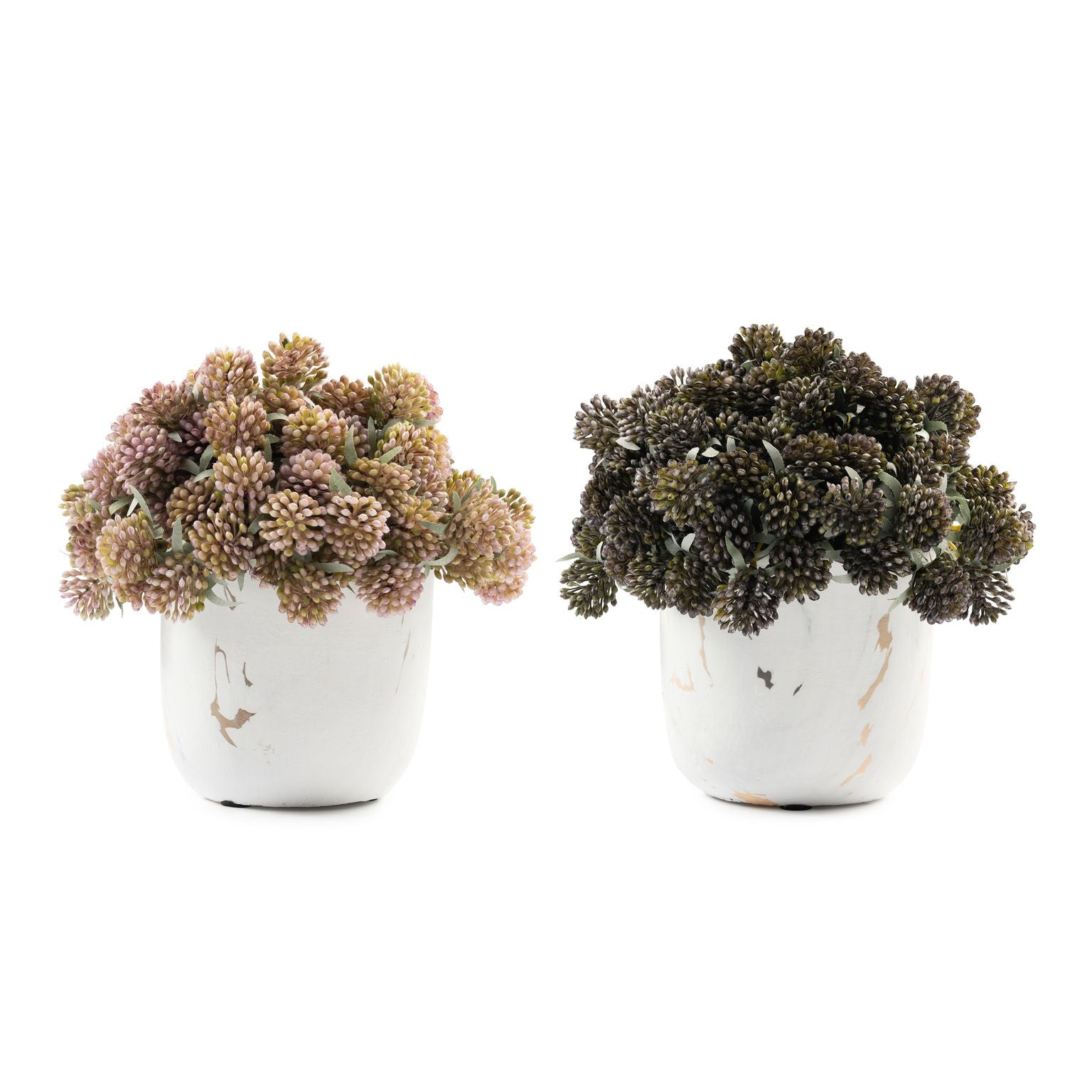  DH Marble Berry Floral、mySite、elrpsem3k