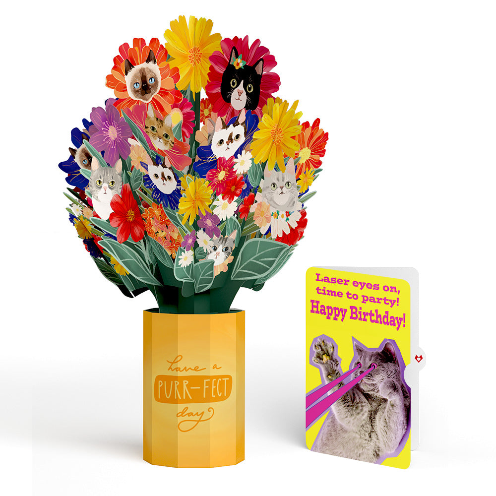 Purr-fect Cat Birthday Bouquet and Cat Laser Eyes Sentiment Set、mySite、solidvoid