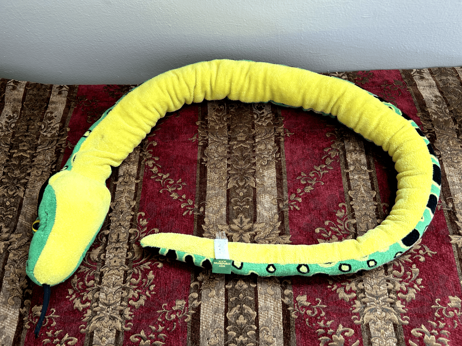 Anaconda 54 inches Long、mySite、g9winljtr