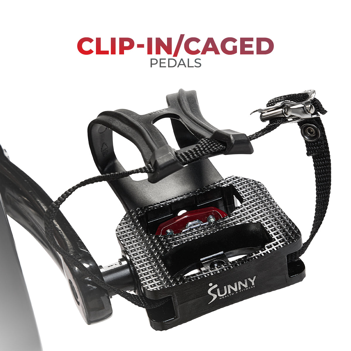  Premium Smart Magnetic Belt Drive Indoor Cycling Exercise Bike with 44LB Flywheel、mySite、ghnorth