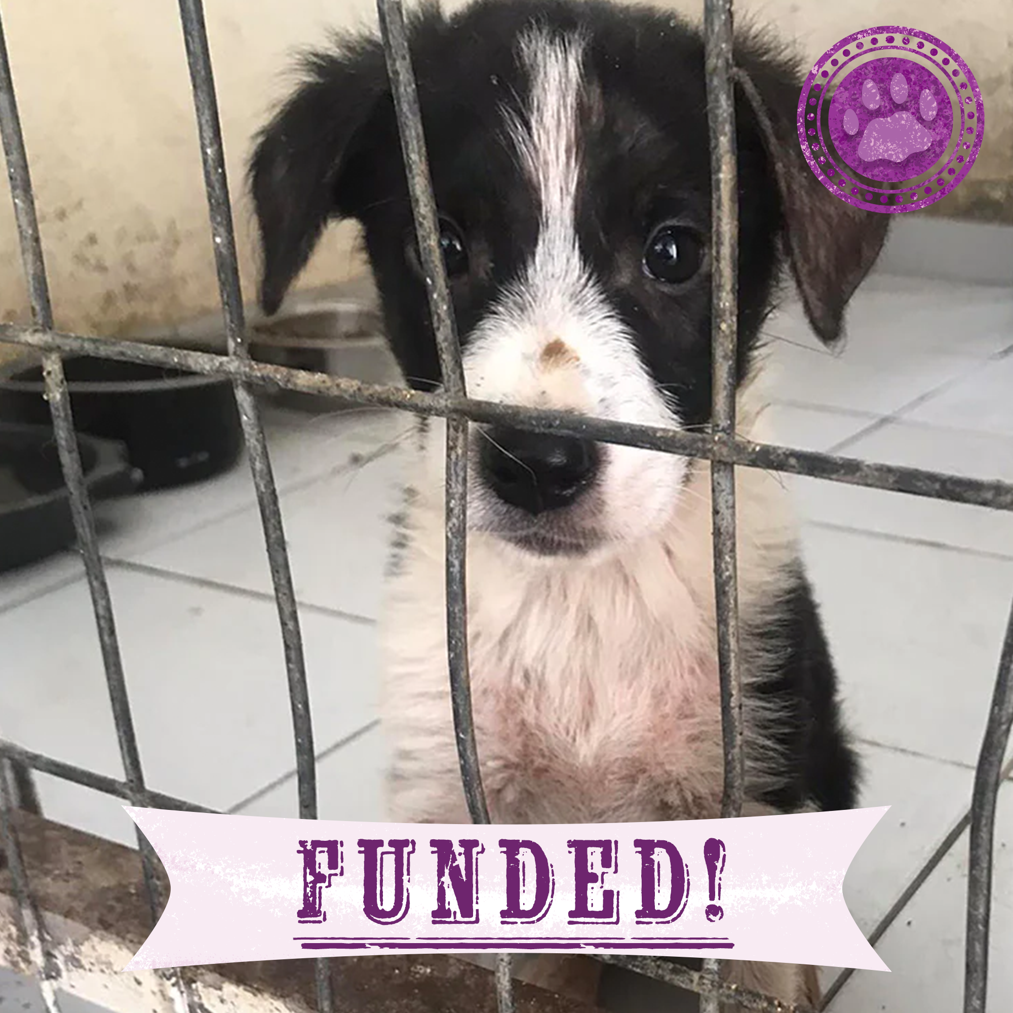 Funded: Elena Needs Your Help To Survive And Thrive、mySite、camillekostekn