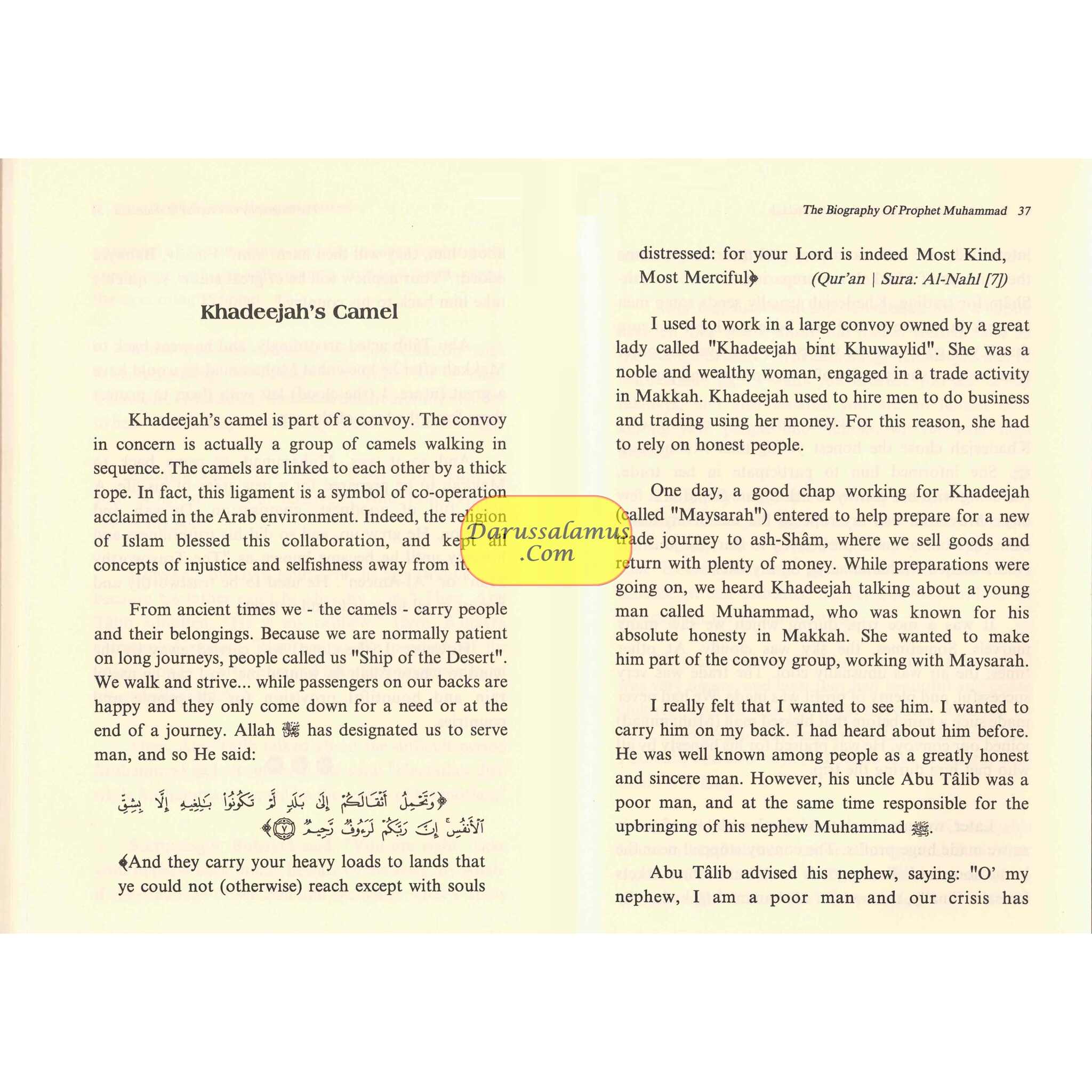 The Biography of Prophet Muhammad By Abdul Munem Al Hashimi、mySite、topwebapps