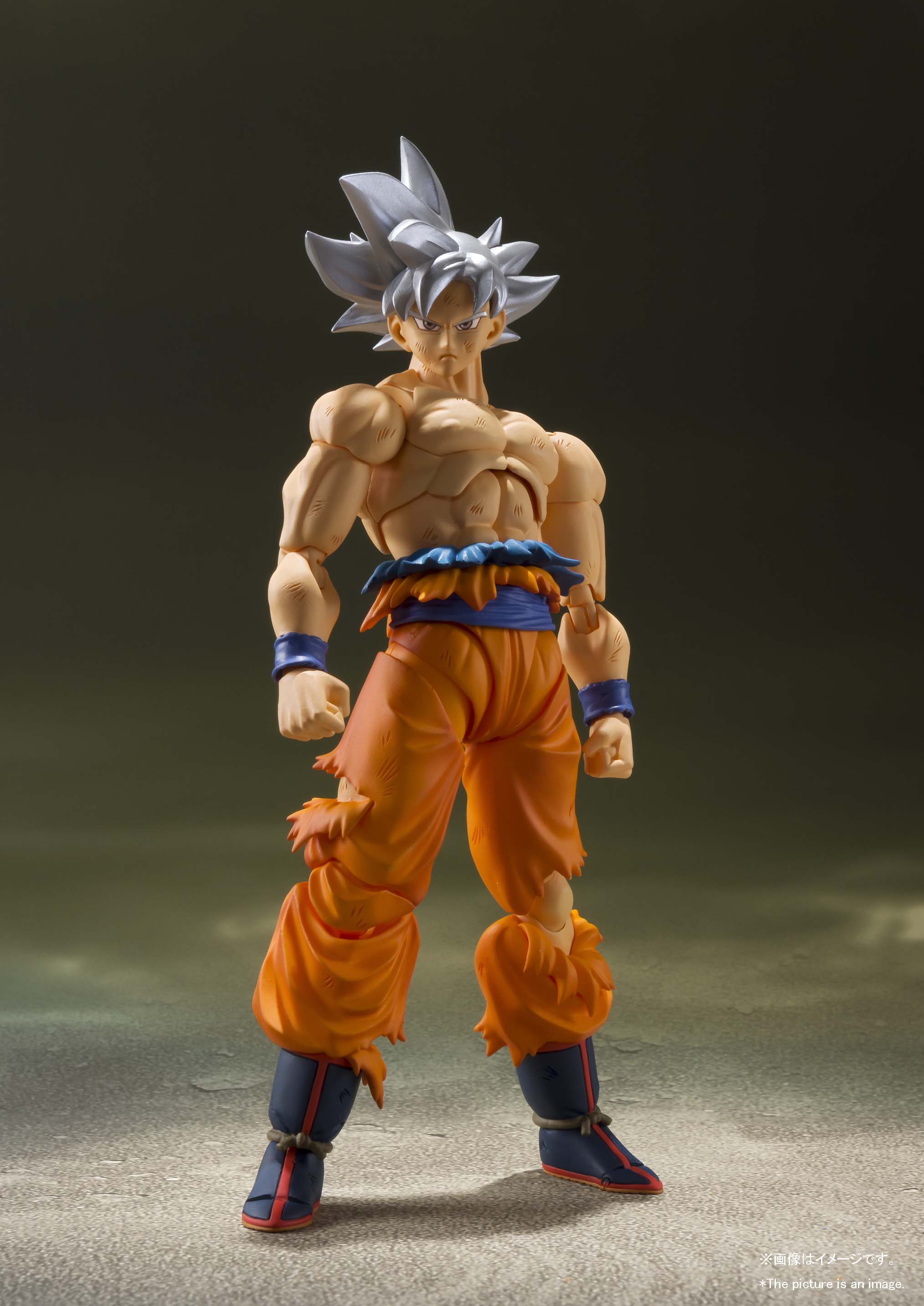 S.H. Figuarts Dragon Ball Super Son Goku Ultra Instinct (Reissue)、mySite、hgirdovlk