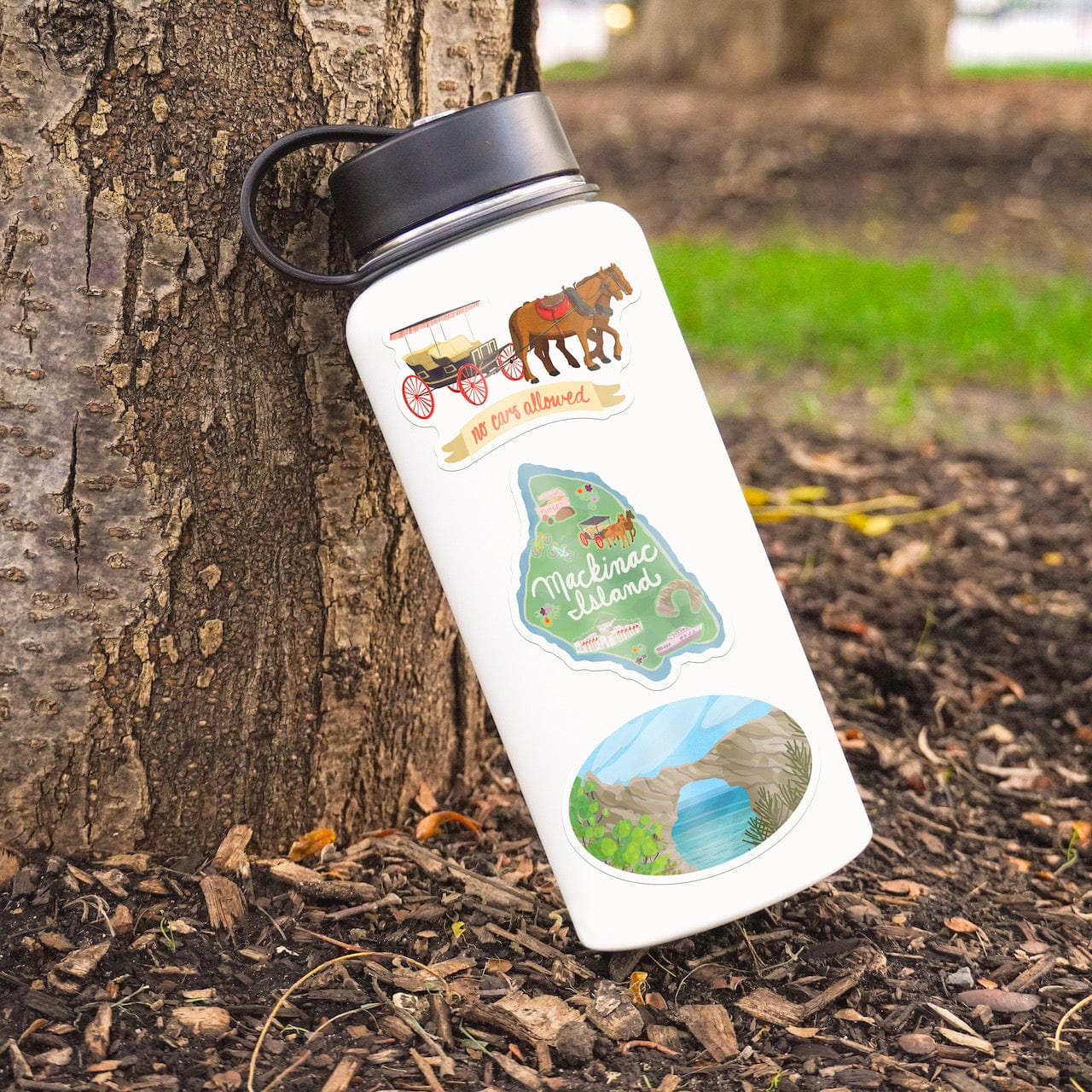  Mackinac Island Michigan - 5 Pack、mySite、ghnorth