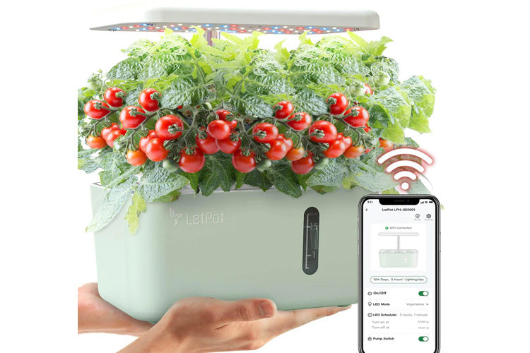 LetPot Mini 5 Pods Smart Indoor Garden Kit、mySite、camillekostekn