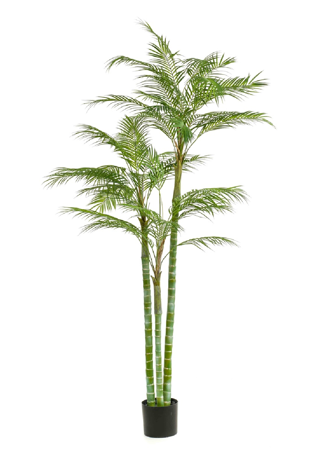 Artificial Tropical Plant Decor | Emerald Areca、mySite、neckold