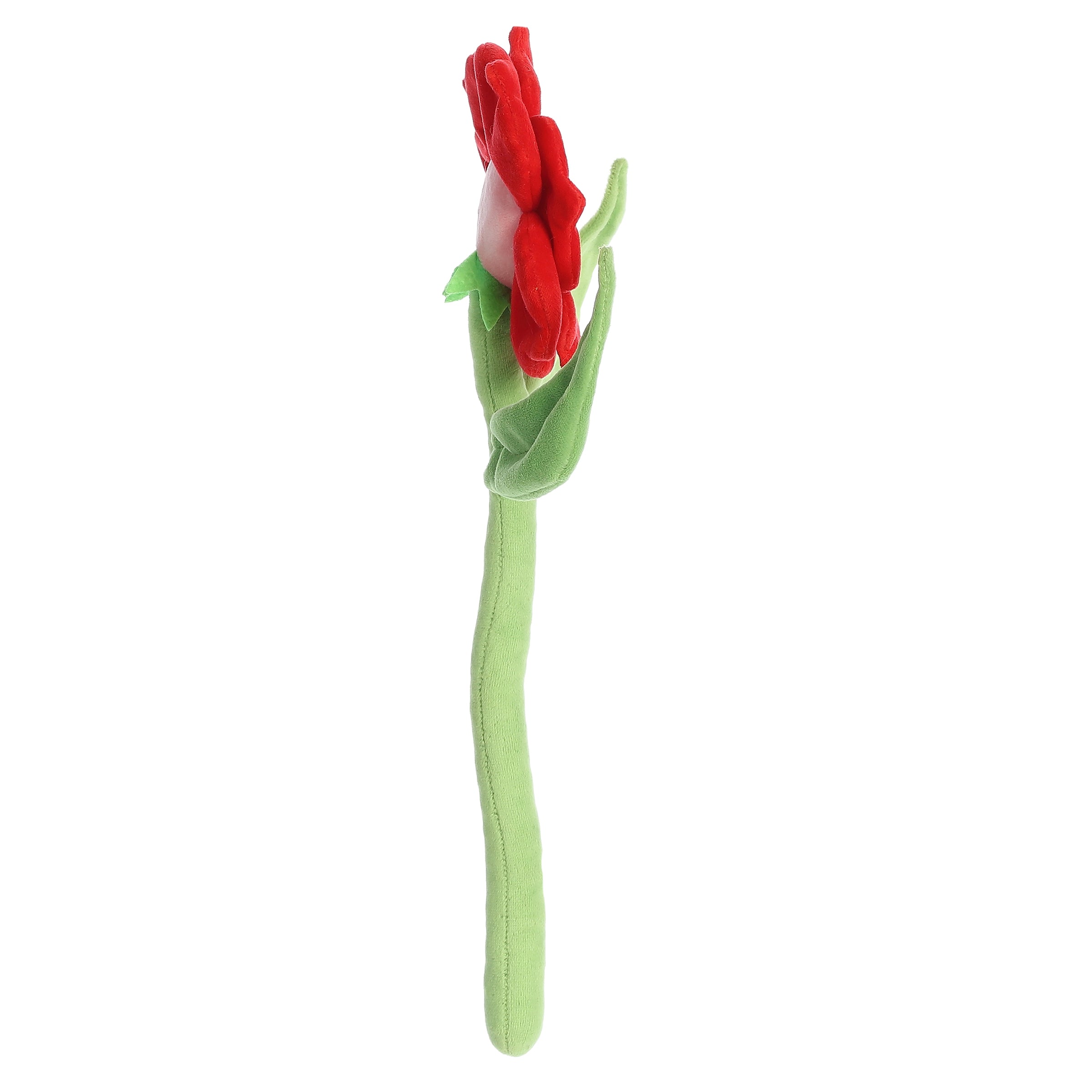 Aurora® - Poseez™ - 15、mySite、g9winljtr