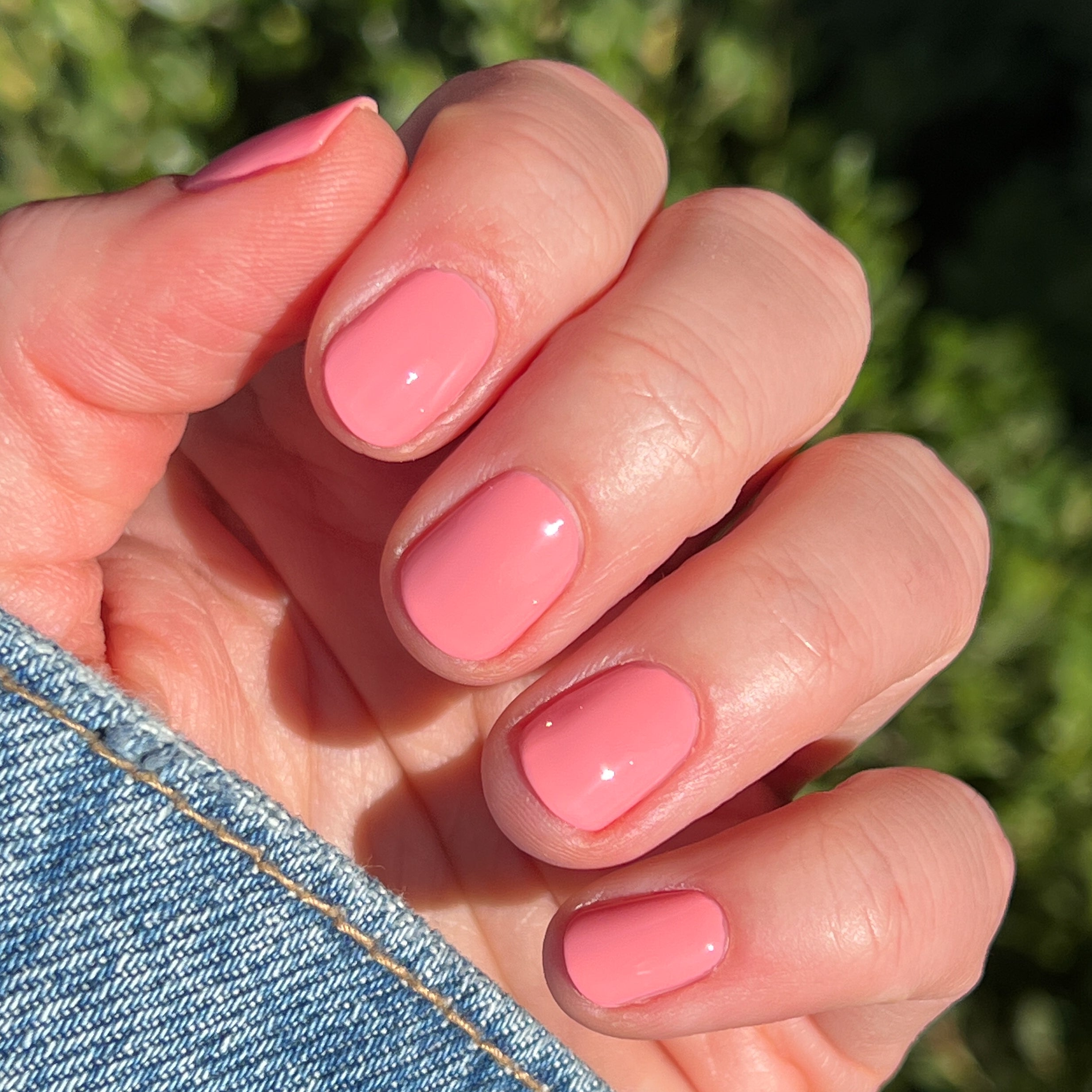 Pen Pal、mySite、solidvoid