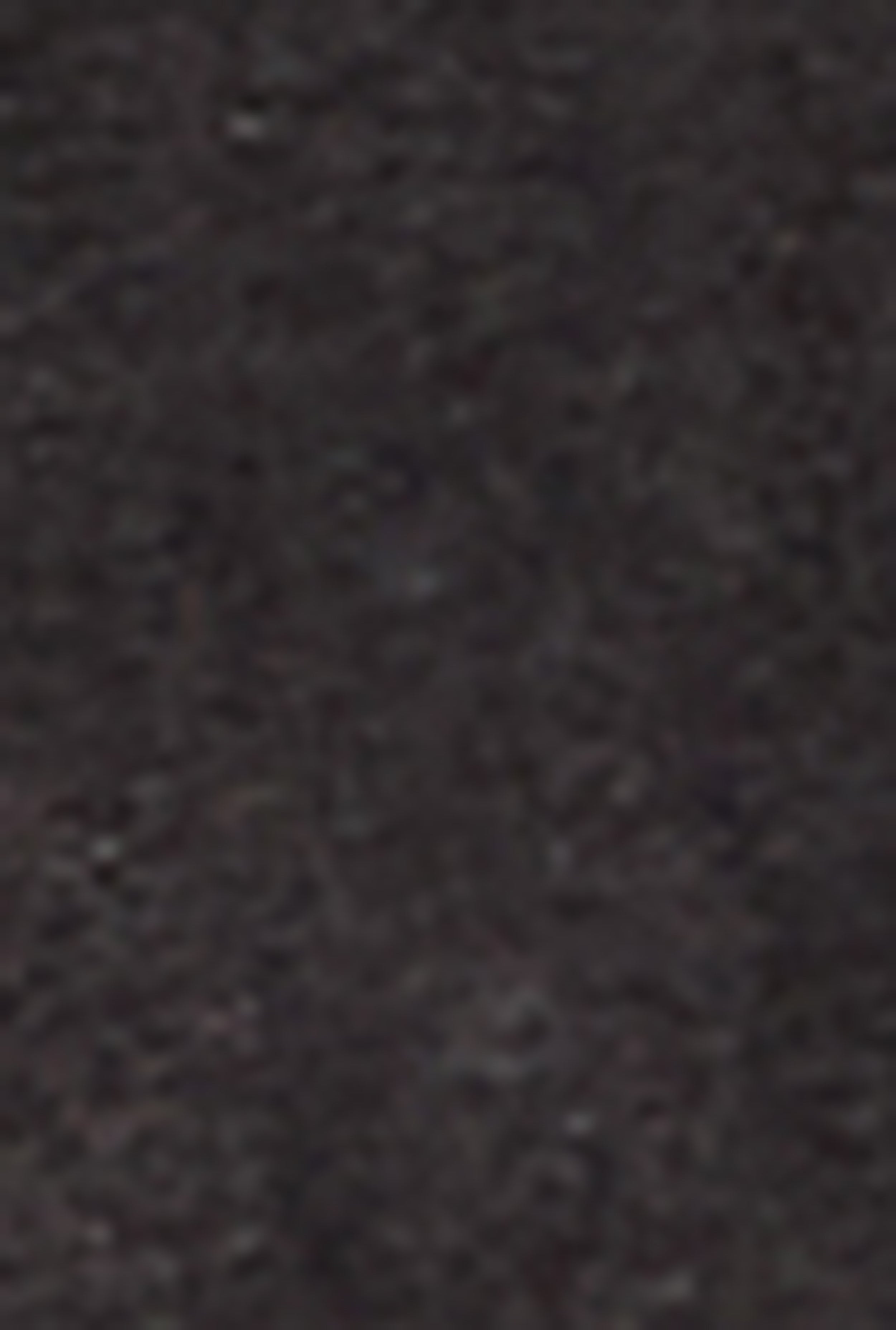 Acid Wash Boot Cut Pants、mySite、camillekostekn