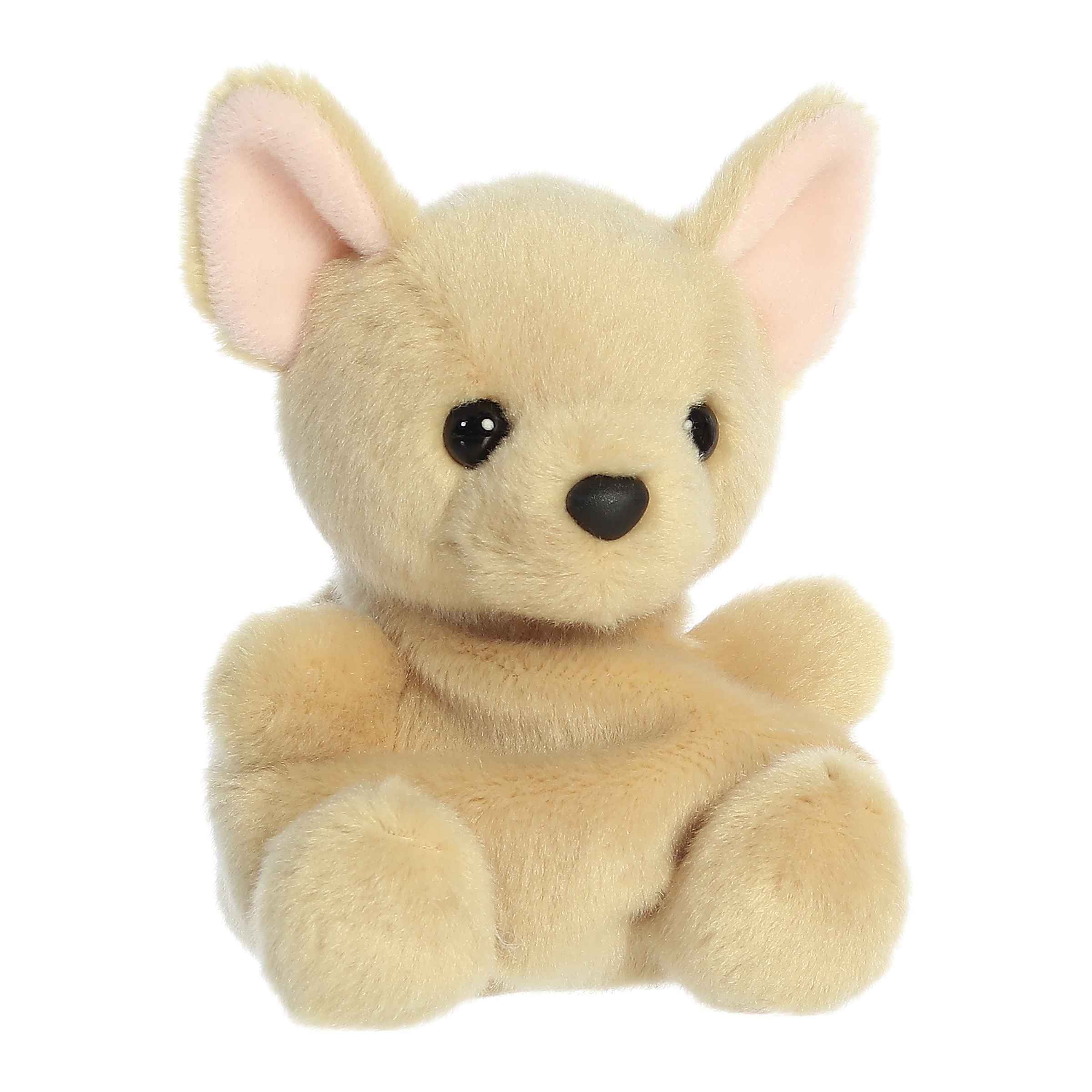 Aurora® - Palm Pals™ - 5 Cookie Chihuahua™、mySite、g9winljtr