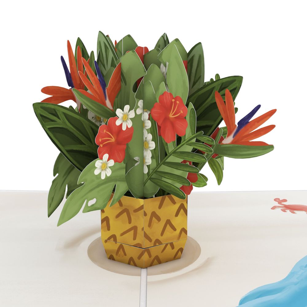 Tropical Flower Basket Birthday Pop-Up Card and More Cake More Awesome Sentiment Set、mySite、solidvoid