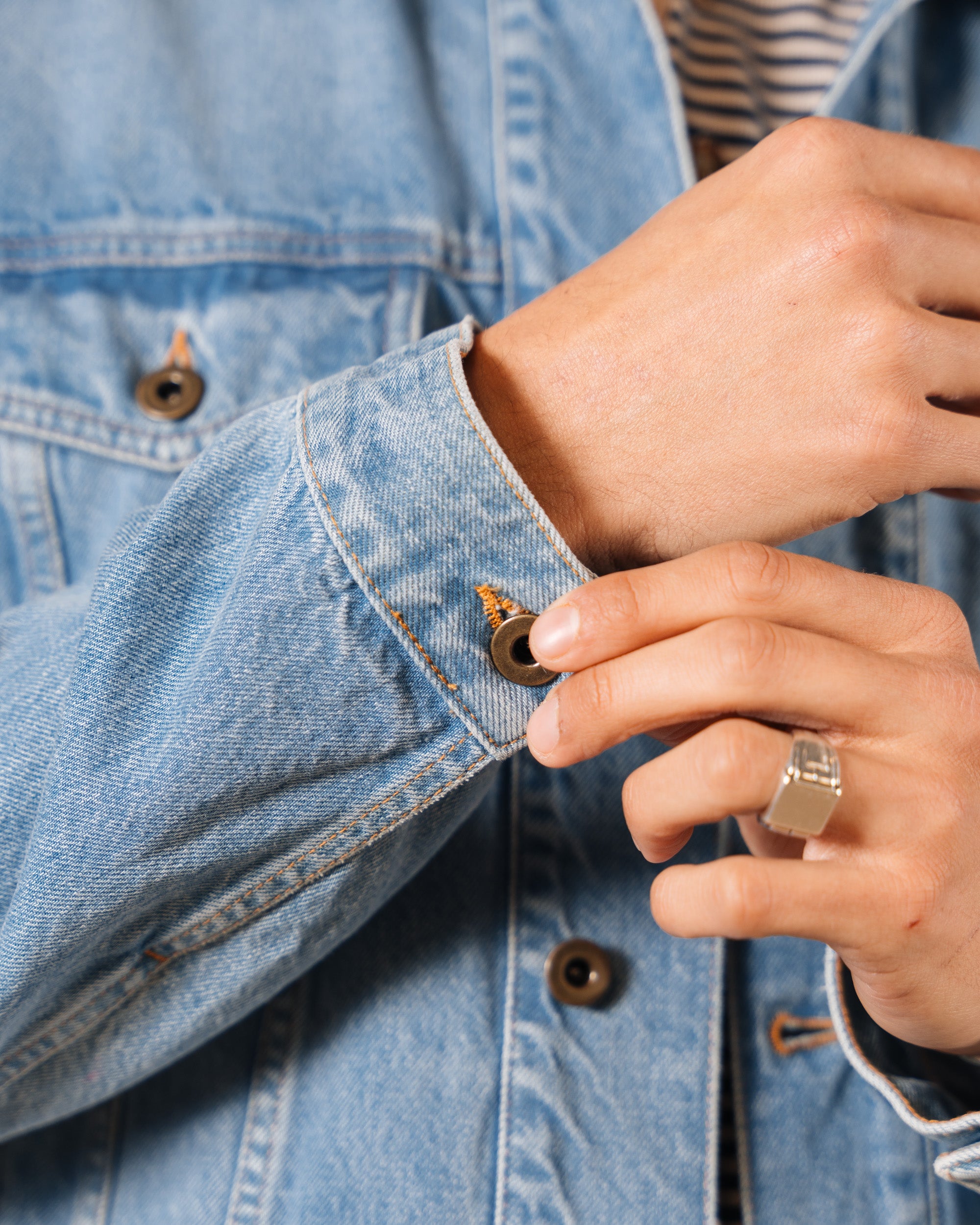  Talamone、mySite、merchandisen