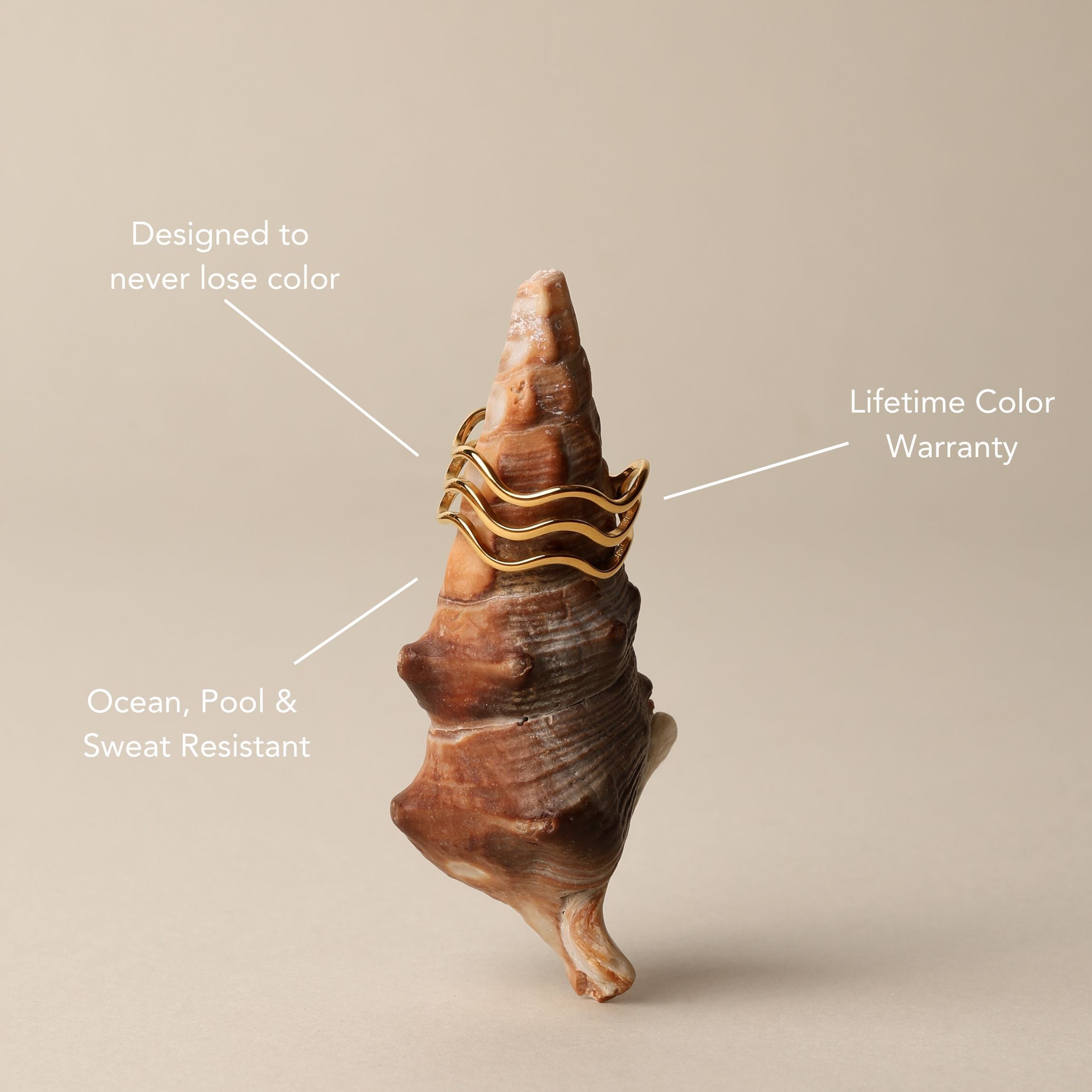 Ocean Ring、mySite、hinf8tx79