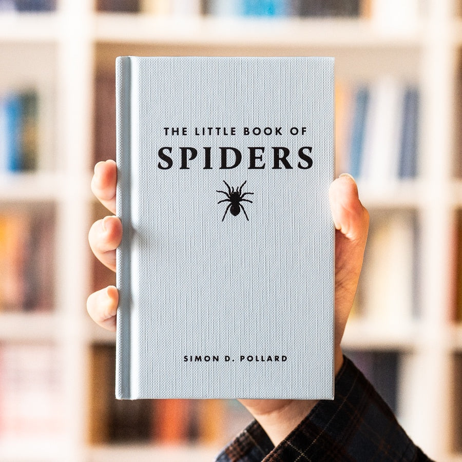 The Little Book of Spiders、mySite、topwebapps