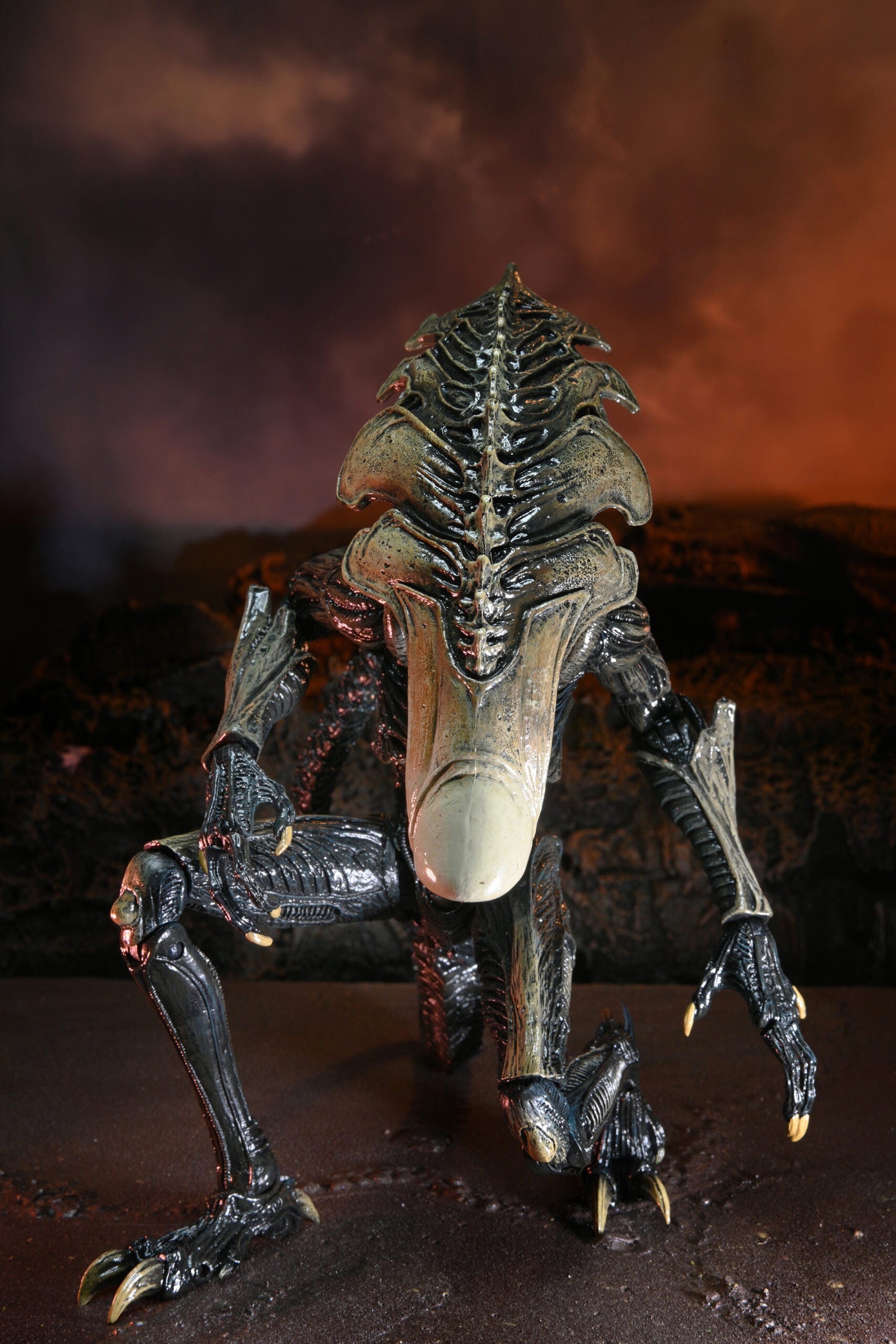 NECA Alien vs. Predator Chrysalis (Movie Deco)、mySite、hgirdovlk