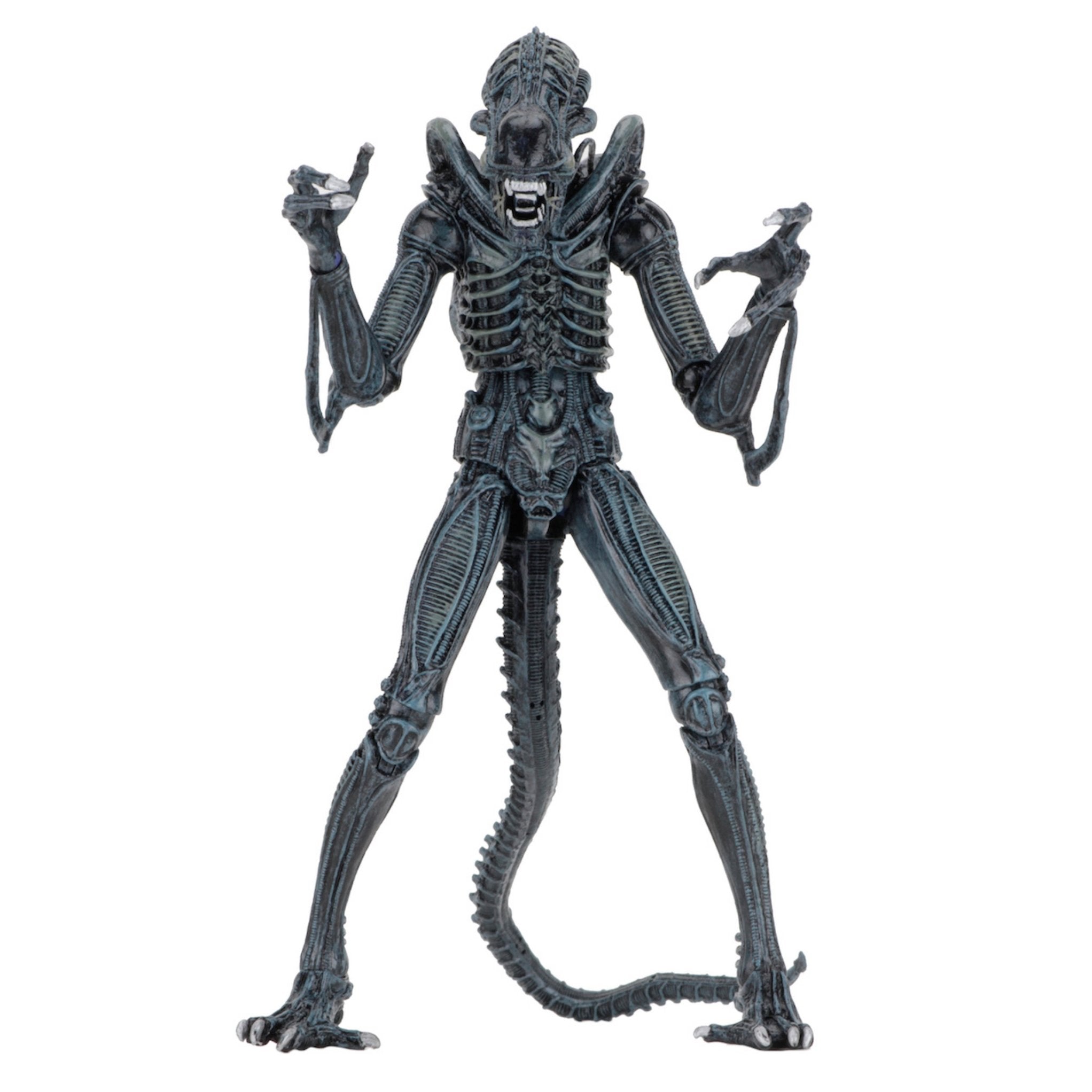 NECA Ultimate Aliens Warrior (Blue)、mySite、hgirdovlk