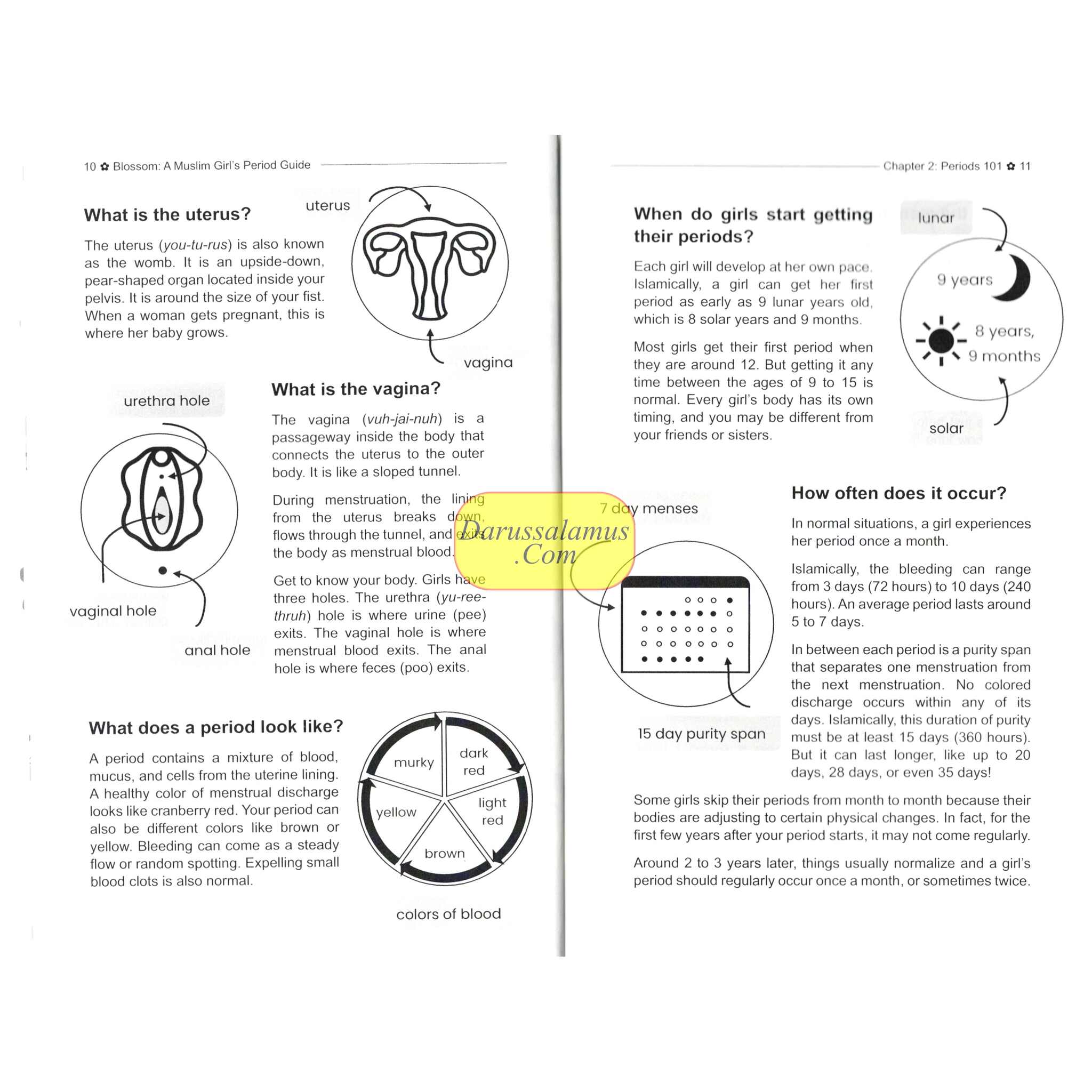 Blossom: A Muslim Girl's Period Guide by Naielah Ackbarali、mySite、topwebapps