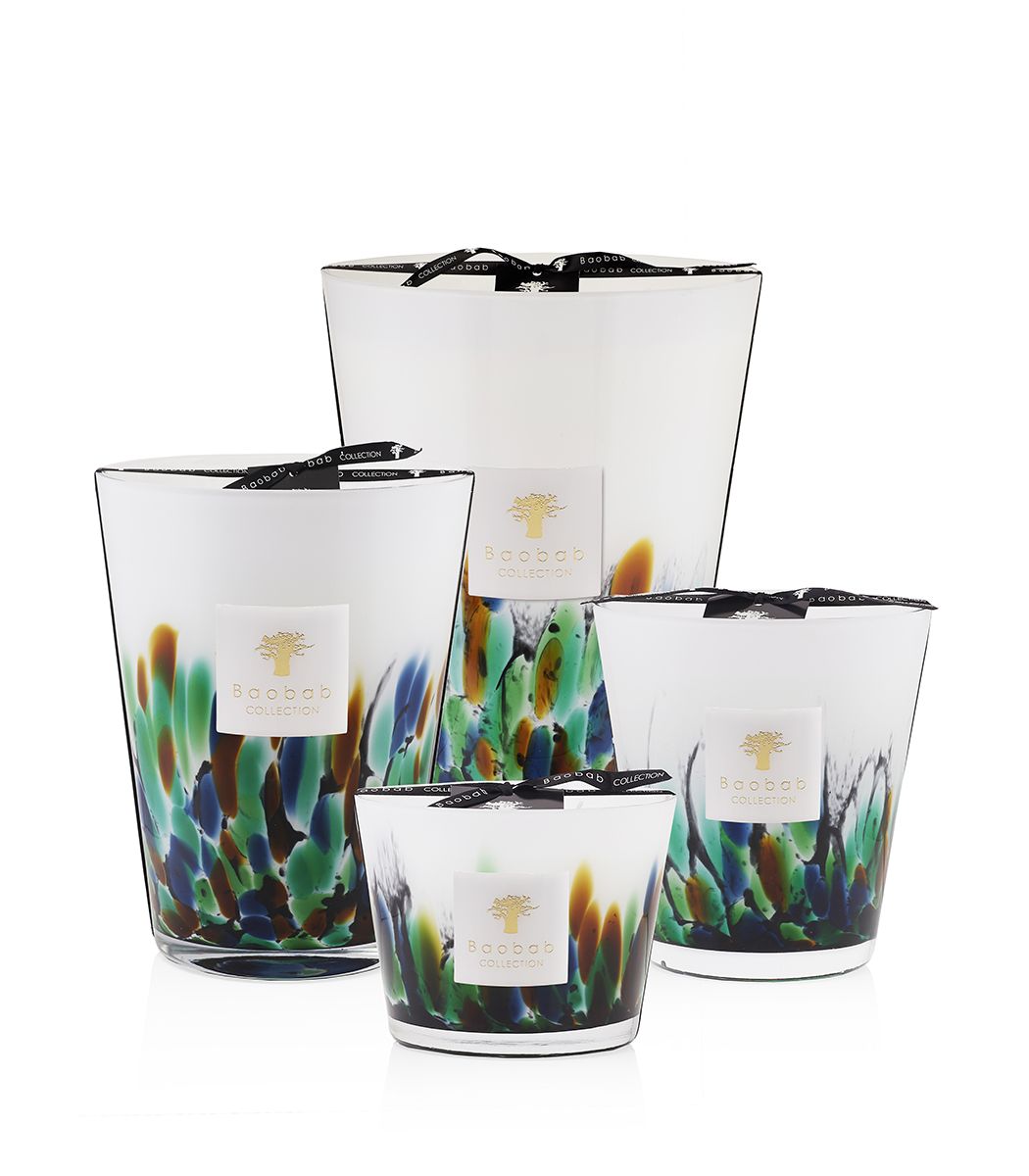  Baobab Rainforest Amazonia、mySite、elrpsem3k