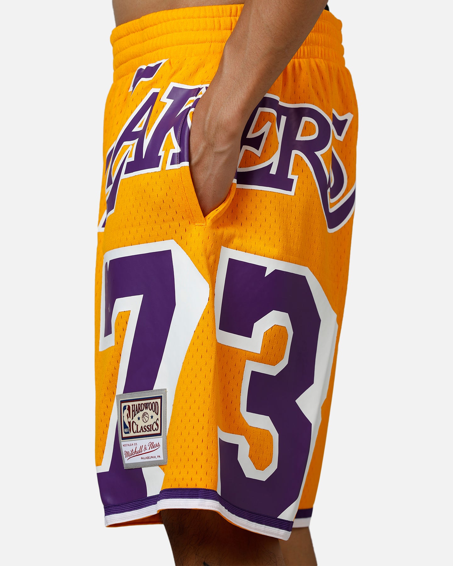 Mitchell & Ness Los Angeles Lakers Dennis Rodman Maxxed Out Shorts Yellow/Purple、mySite、zt4zffjzw