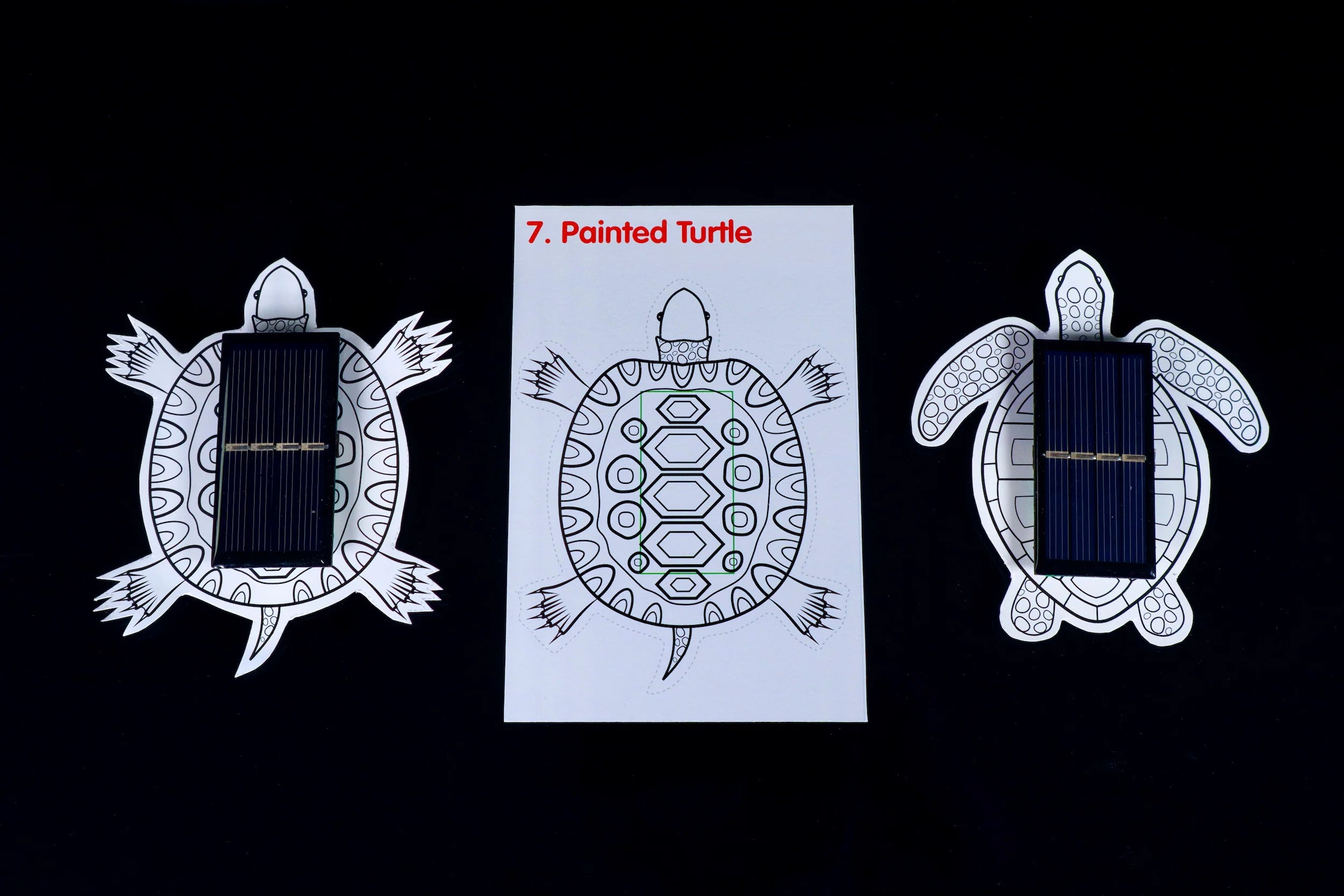 Solar Critters、mySite、lovesweatpilates