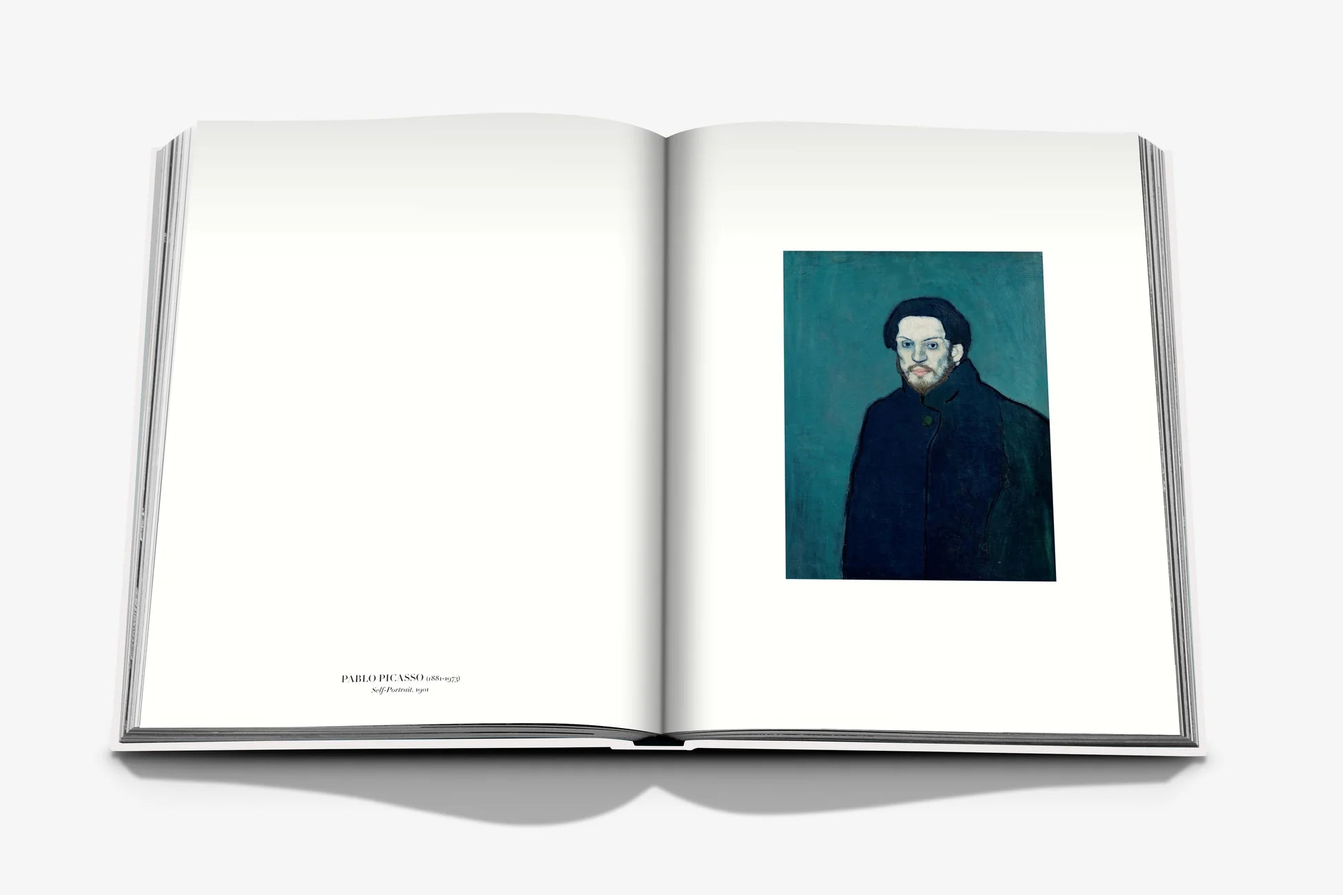  Self Portraits: From 1800 to the Present Book、mySite、sugarbowlscore