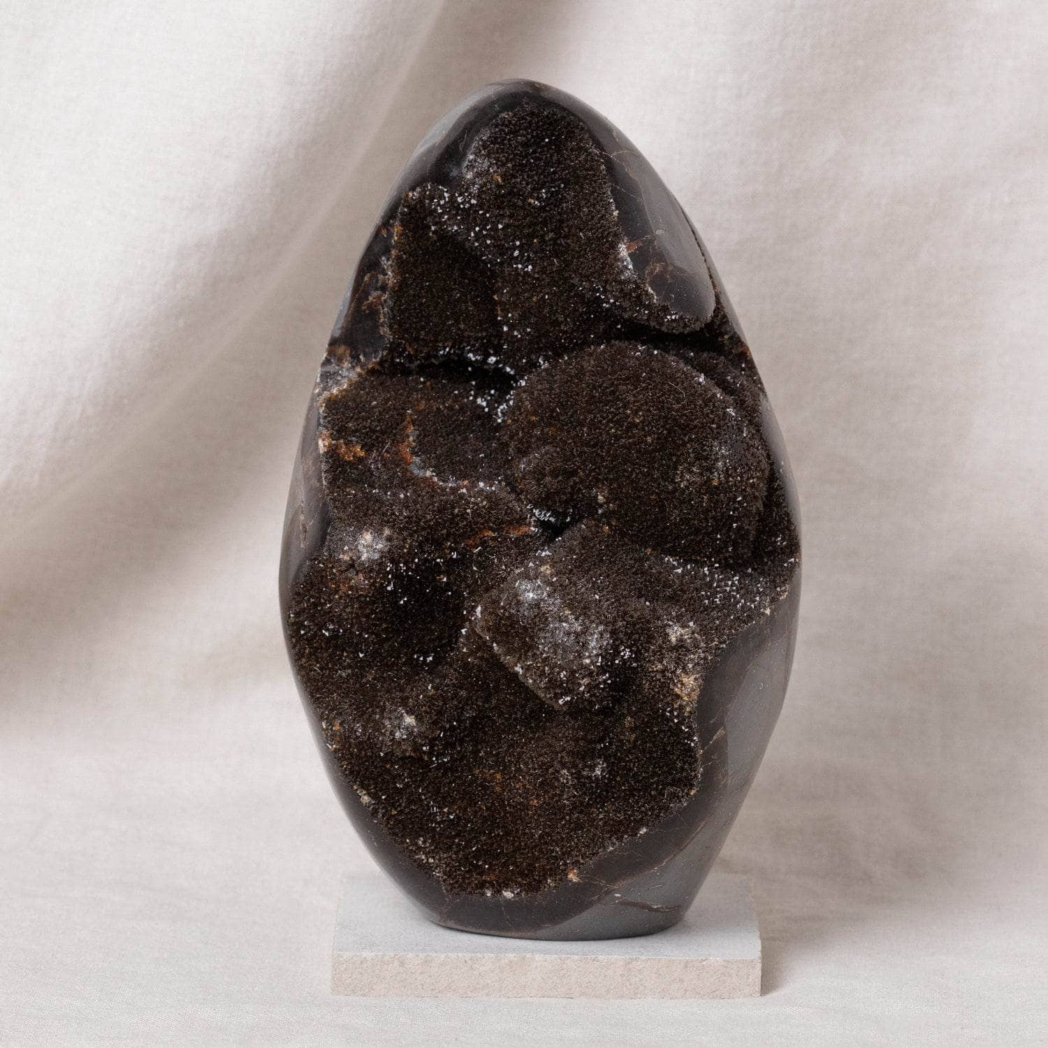 Rare Black Septarian Freeform Crystal、mySite、hinf8tx79