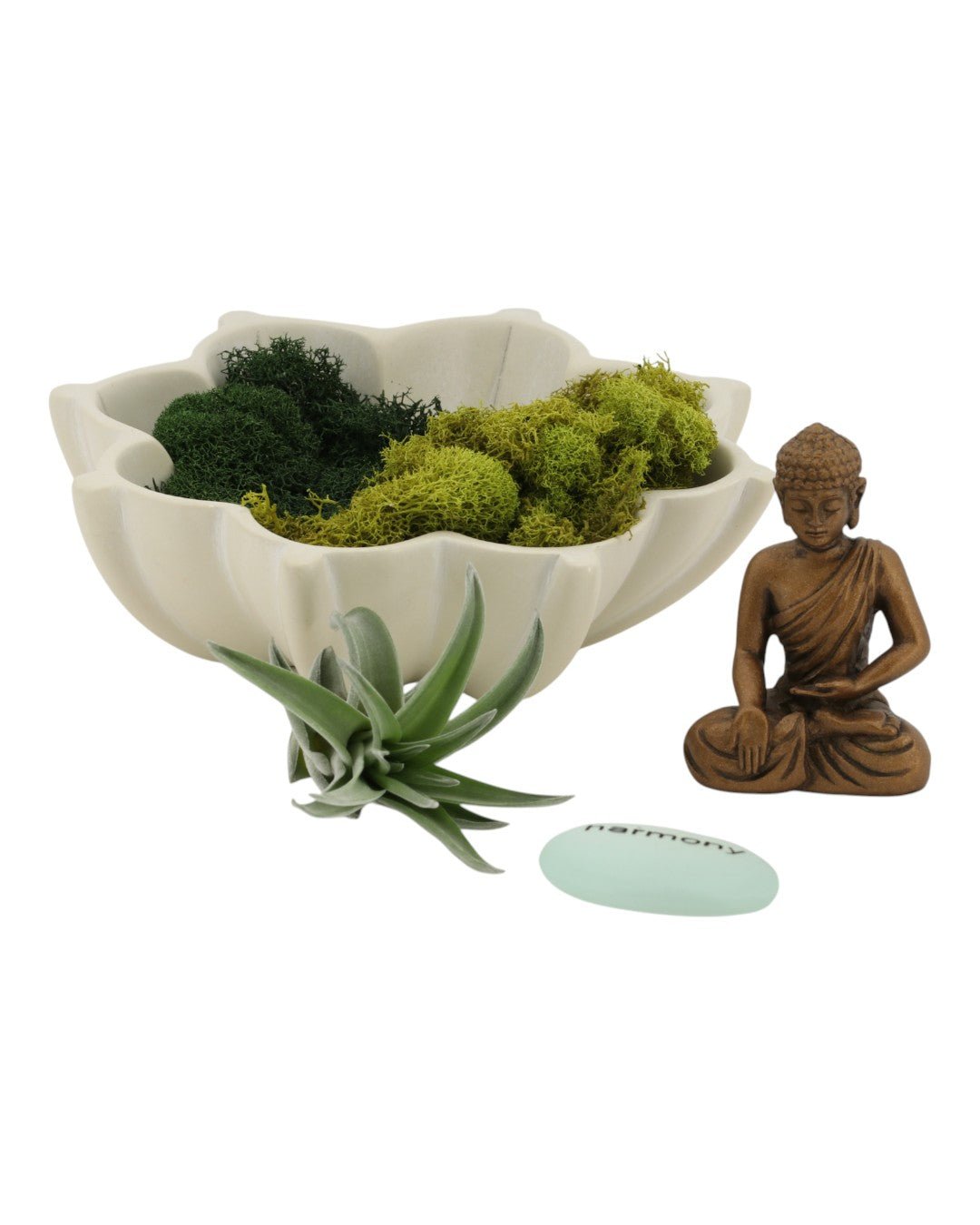 Harmony Zen Terrarium with Lotus Bowl、mySite、topwebapps