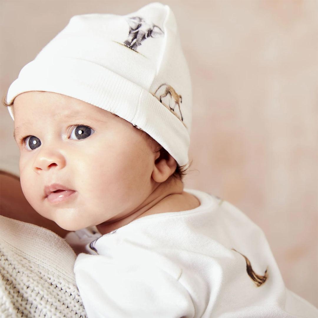  Rosa & Blue Hat - Safari、mySite、merchandisen