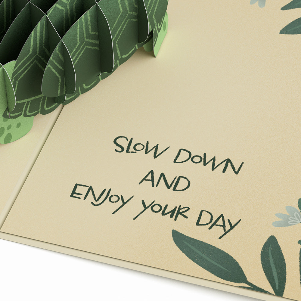 Shell-ebrate Birthday Turtle Pop-Up Card、mySite、solidvoid
