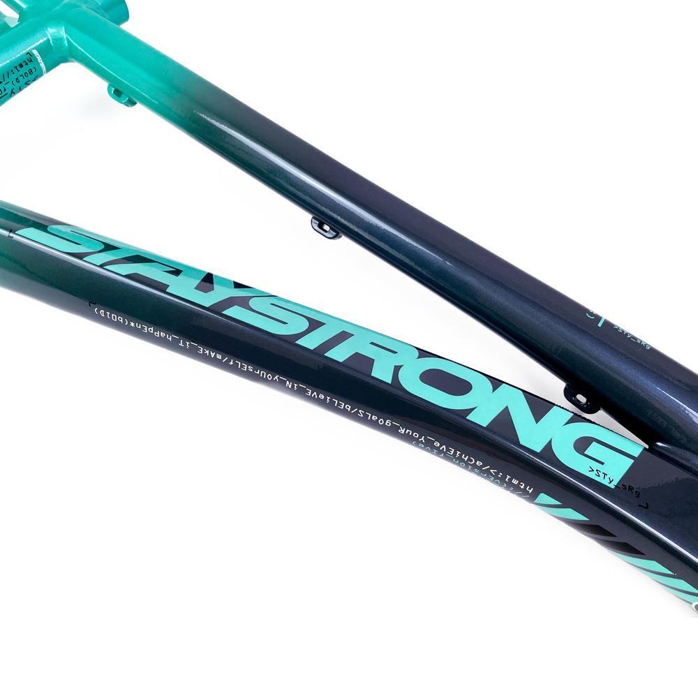  Stay Strong For Life 2024 V5 Pro Race Frame - Disc Version、mySite、merchandisen