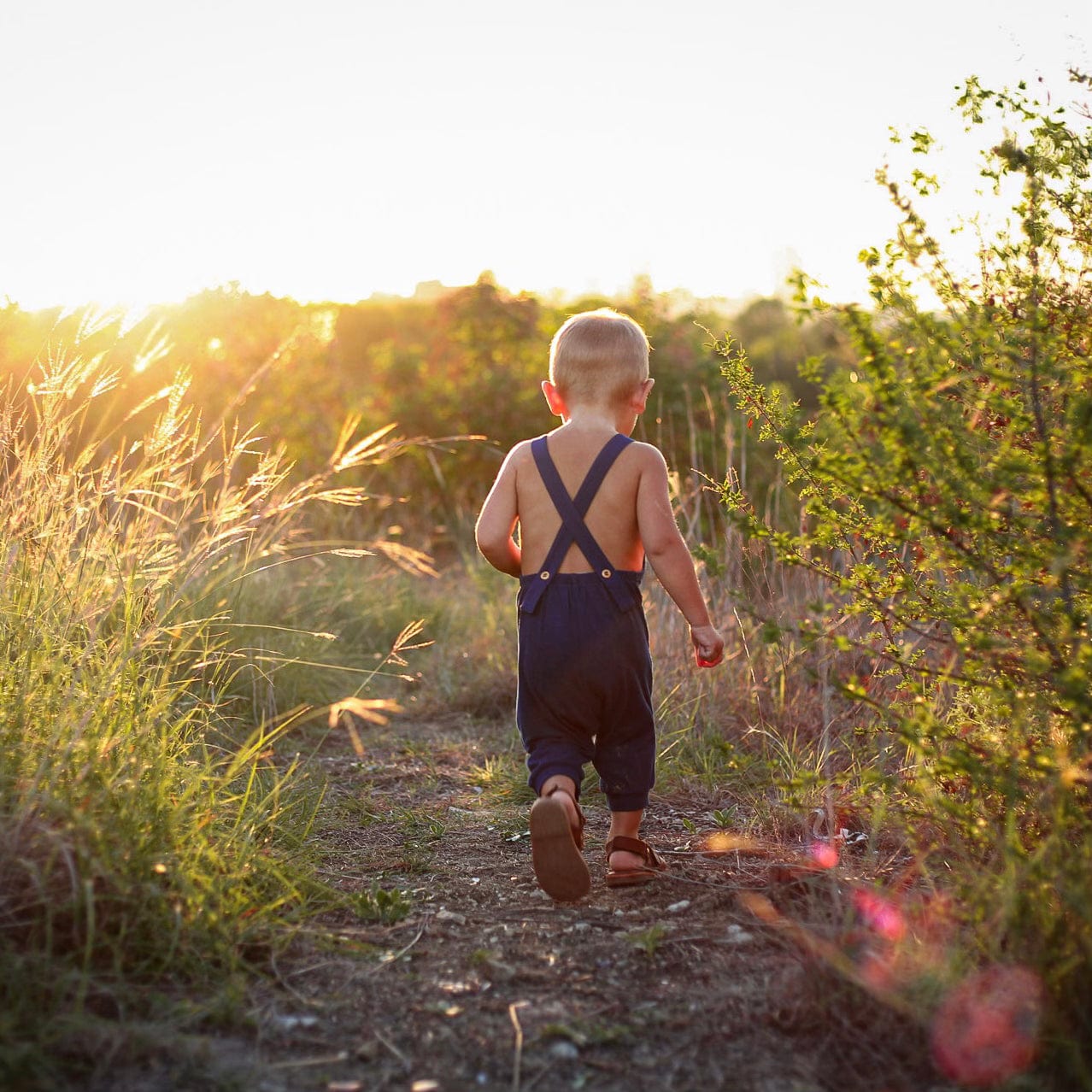  Bamboo Jersey Overall in Tahoe、mySite、layawaytickets