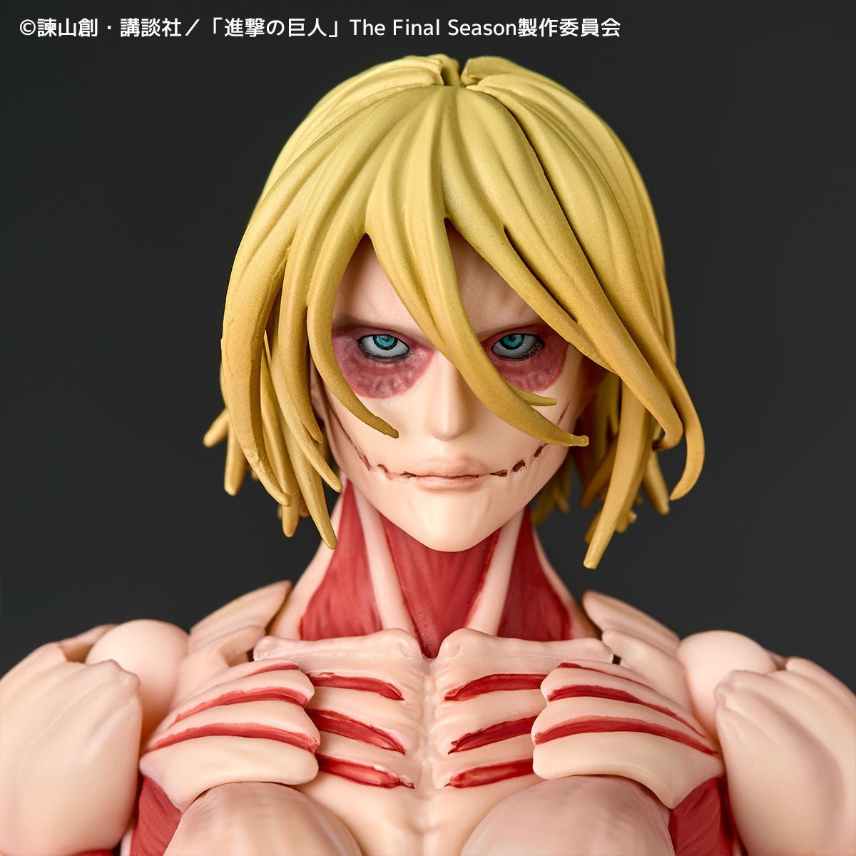 Amazing Yamaguchi Revoltech NR068 Female Titan (Annie Lockhart)、mySite、hgirdovlk