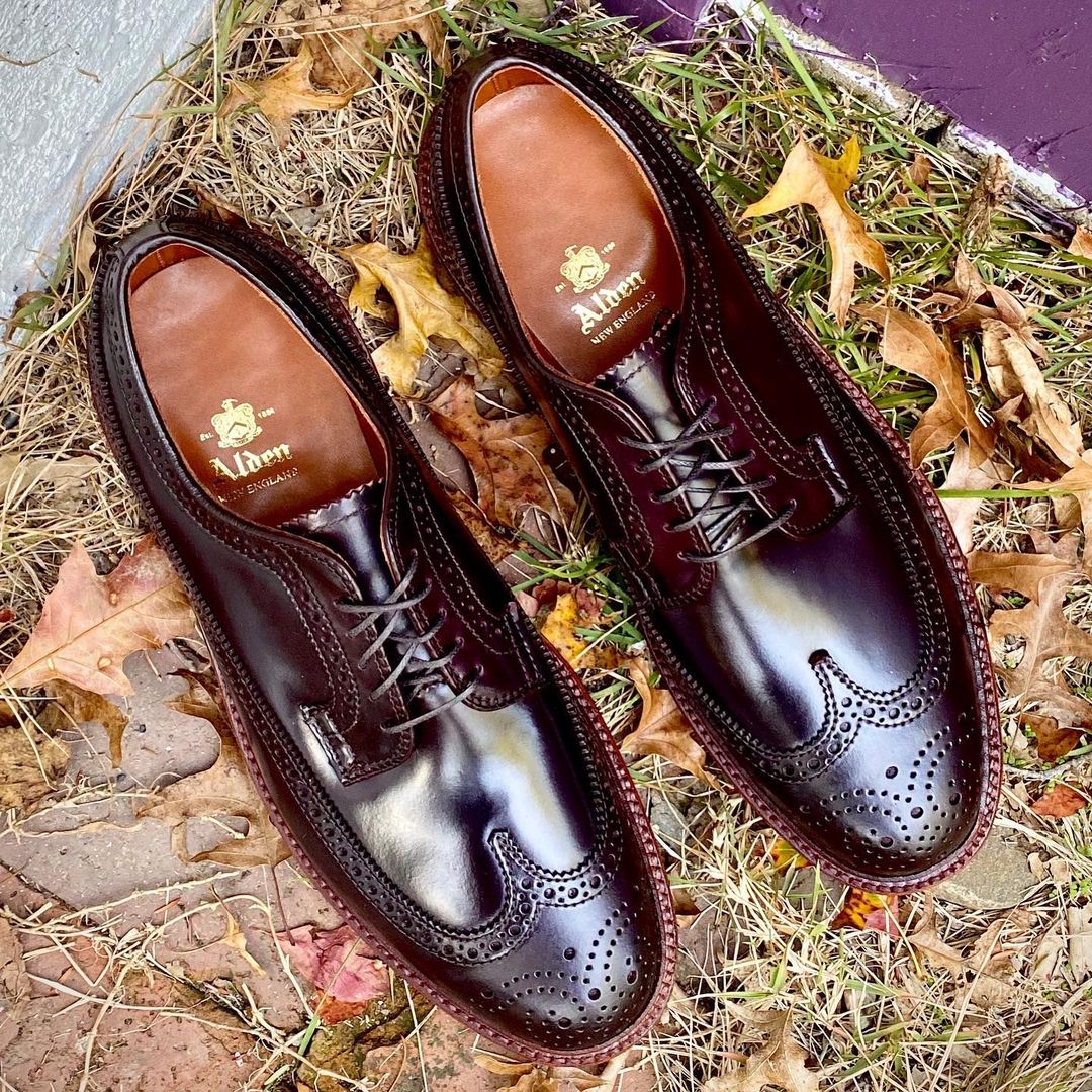  D5511 - Antique Long Wing Blucher in Color 8 Shell Cordovan、mySite、preschool7hills