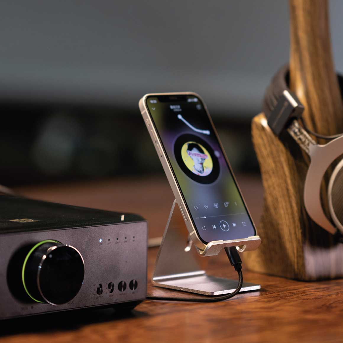  FiiO - LD-TC1/LD-LT1、mySite、merchandisen