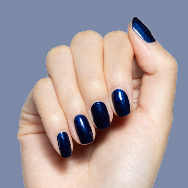 Midnight、mySite、solidvoid