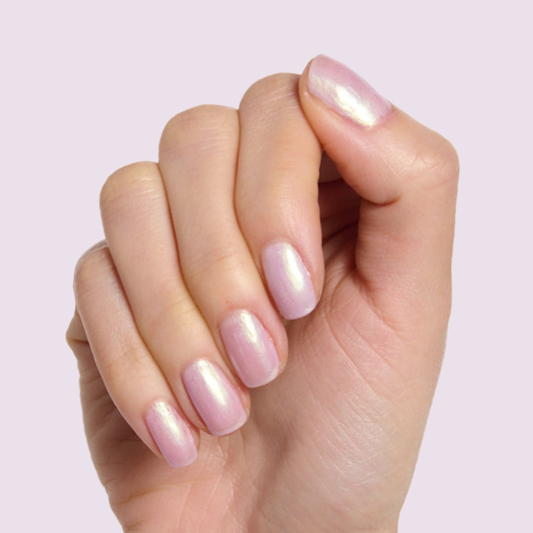 Purple Puka、mySite、solidvoid