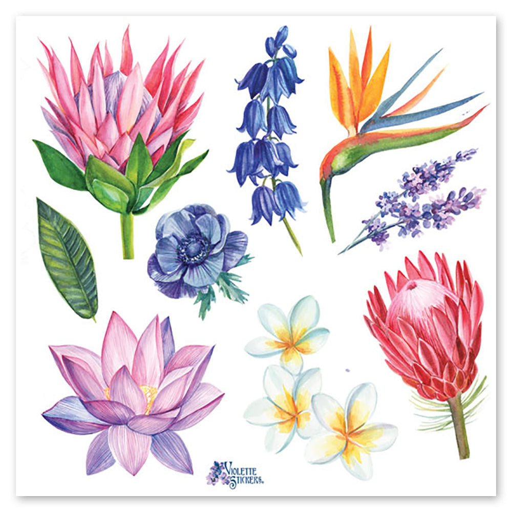  Hawaiian Stems Stickers、mySite、ghnorth