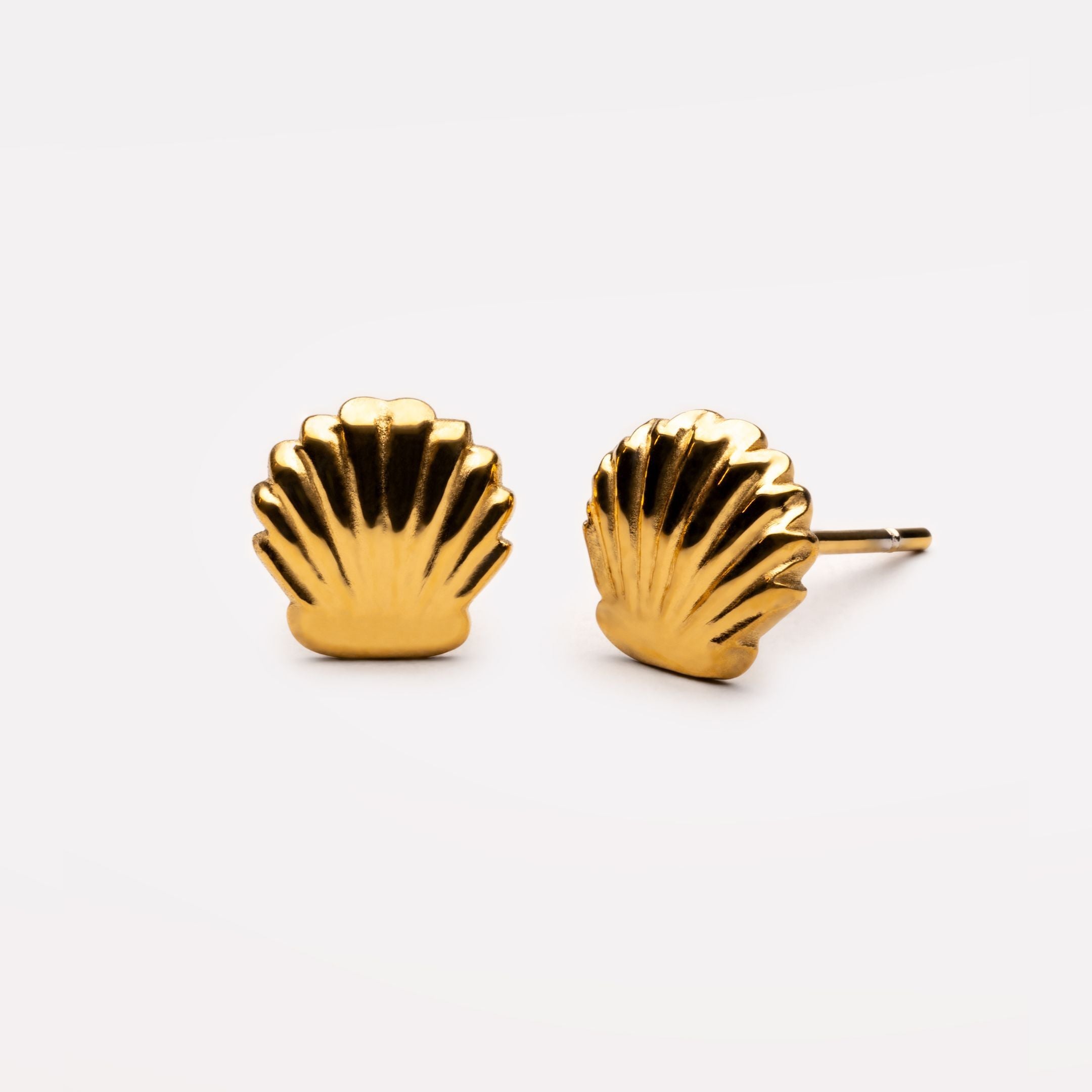 Shell Stud Earrings、mySite、hinf8tx79