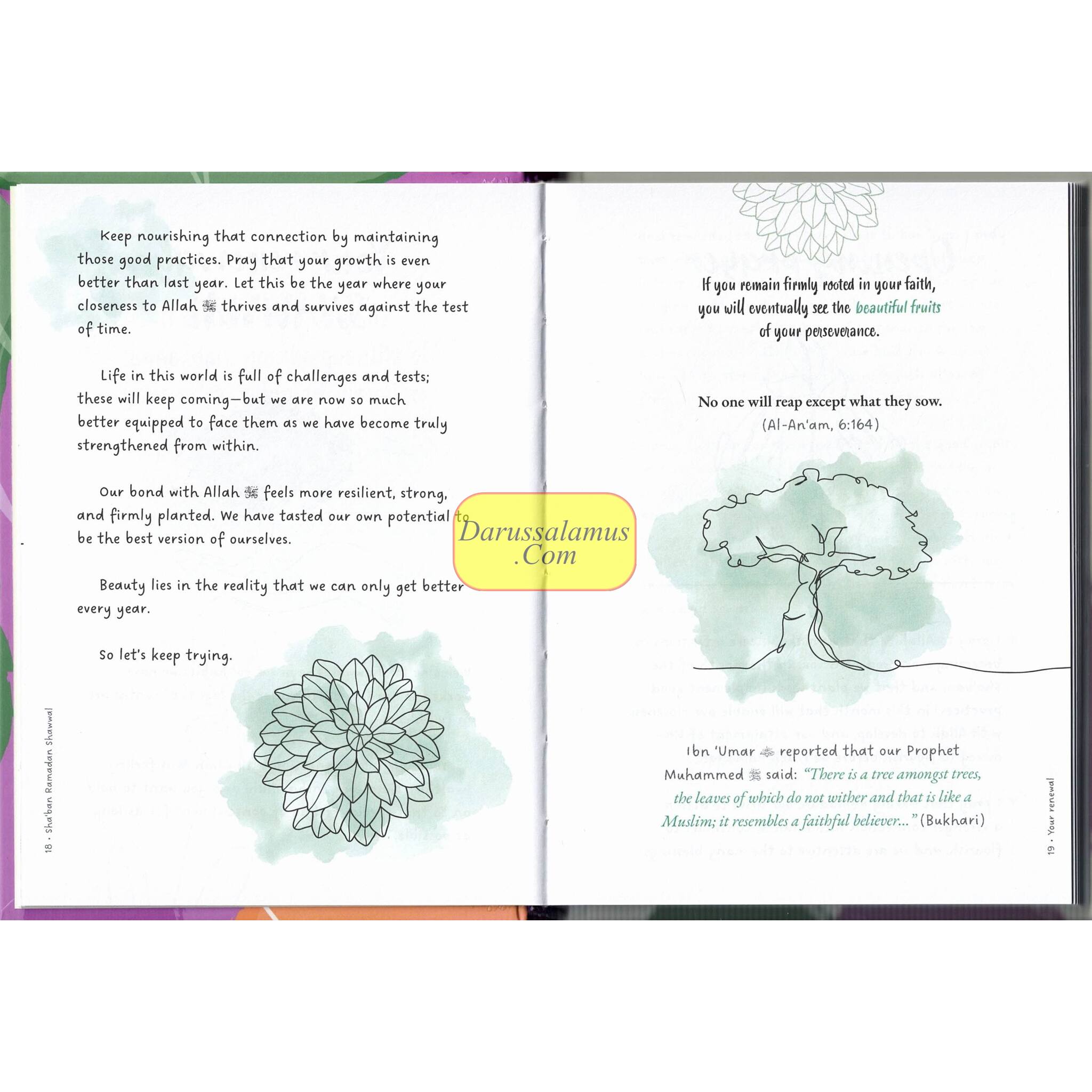 Sha'ban Ramadan Shawwal A guide to nurturing the soul during these blessed months、mySite、topwebapps