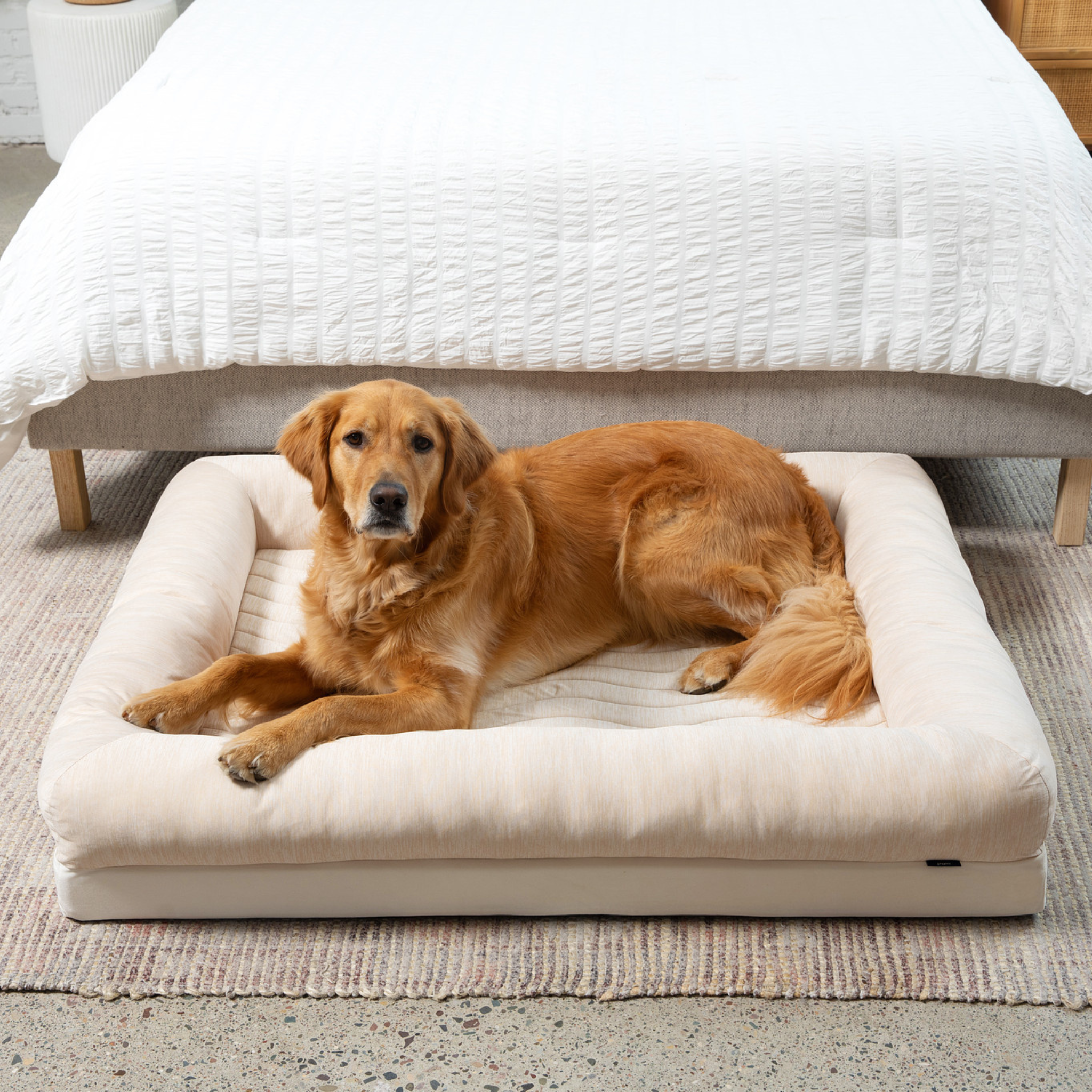 PupChill™ Cooling 4-Bolster Dog Bed - Arctic Sand、mySite、solidvoid